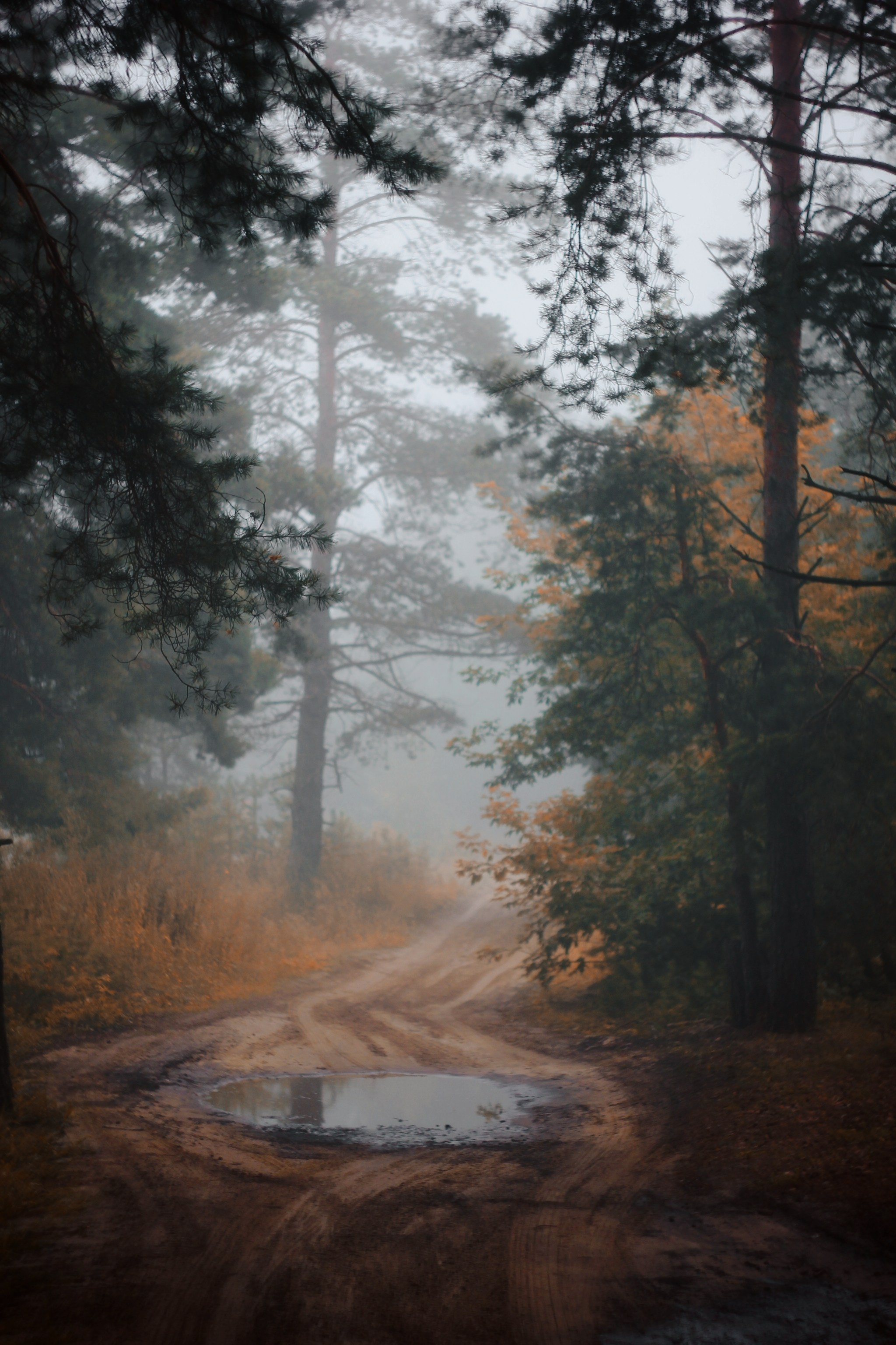 Меланхолия августа. С любовью, фотохудожник