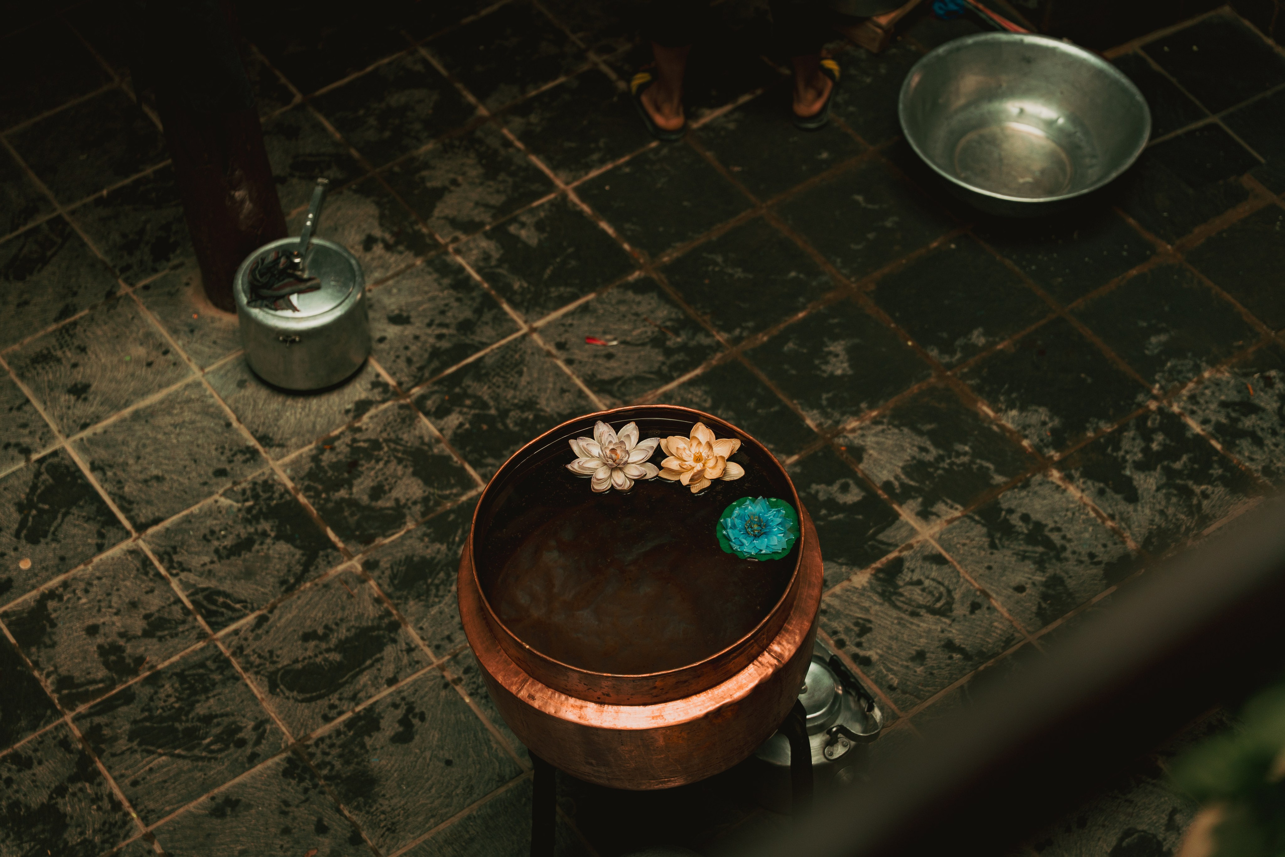 Королевство Мустанг. Dmitry Ippolitov