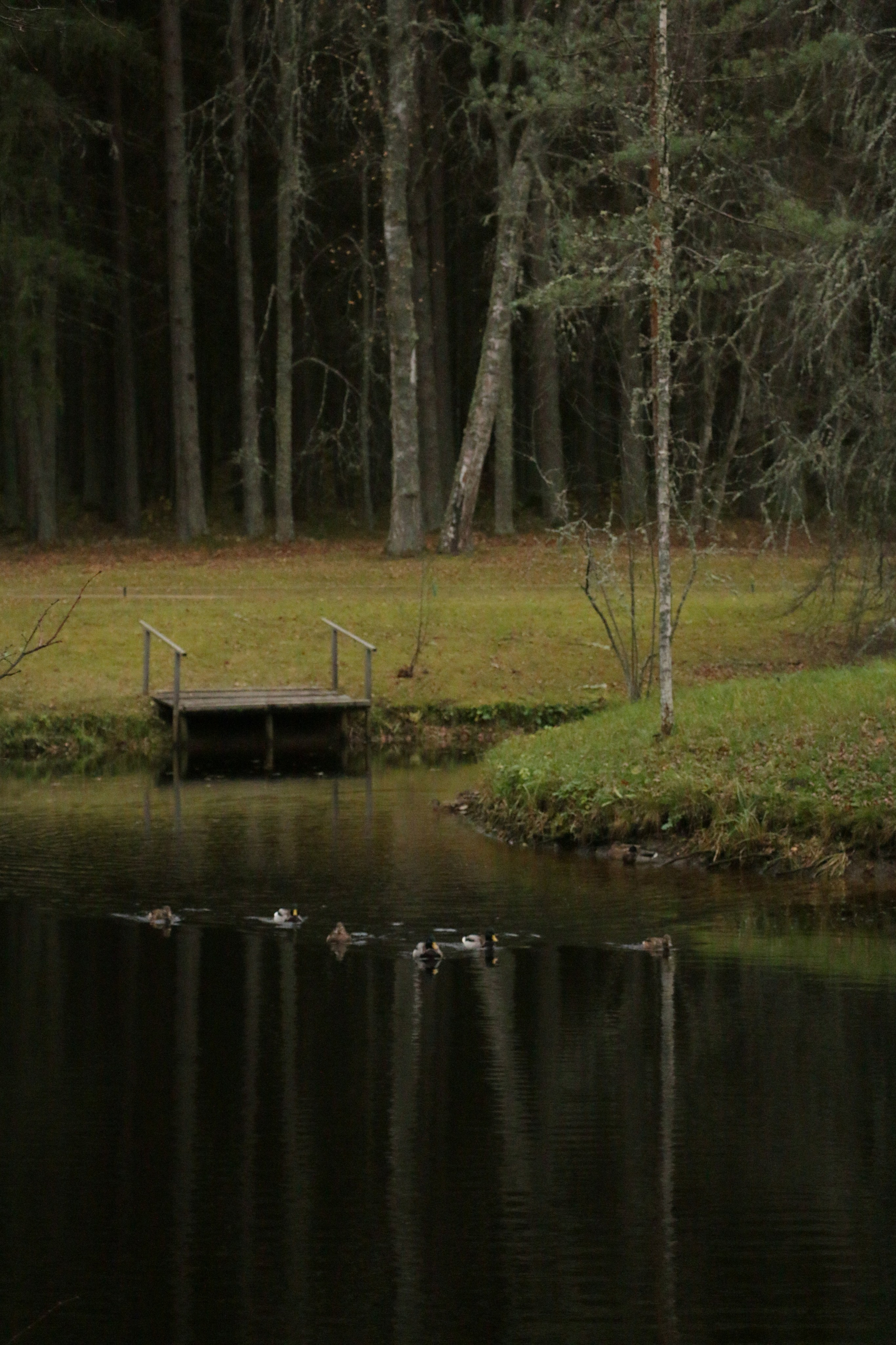 Пейзажи. Фотограф из Санкт-Петербурга — Виктория Горелкова