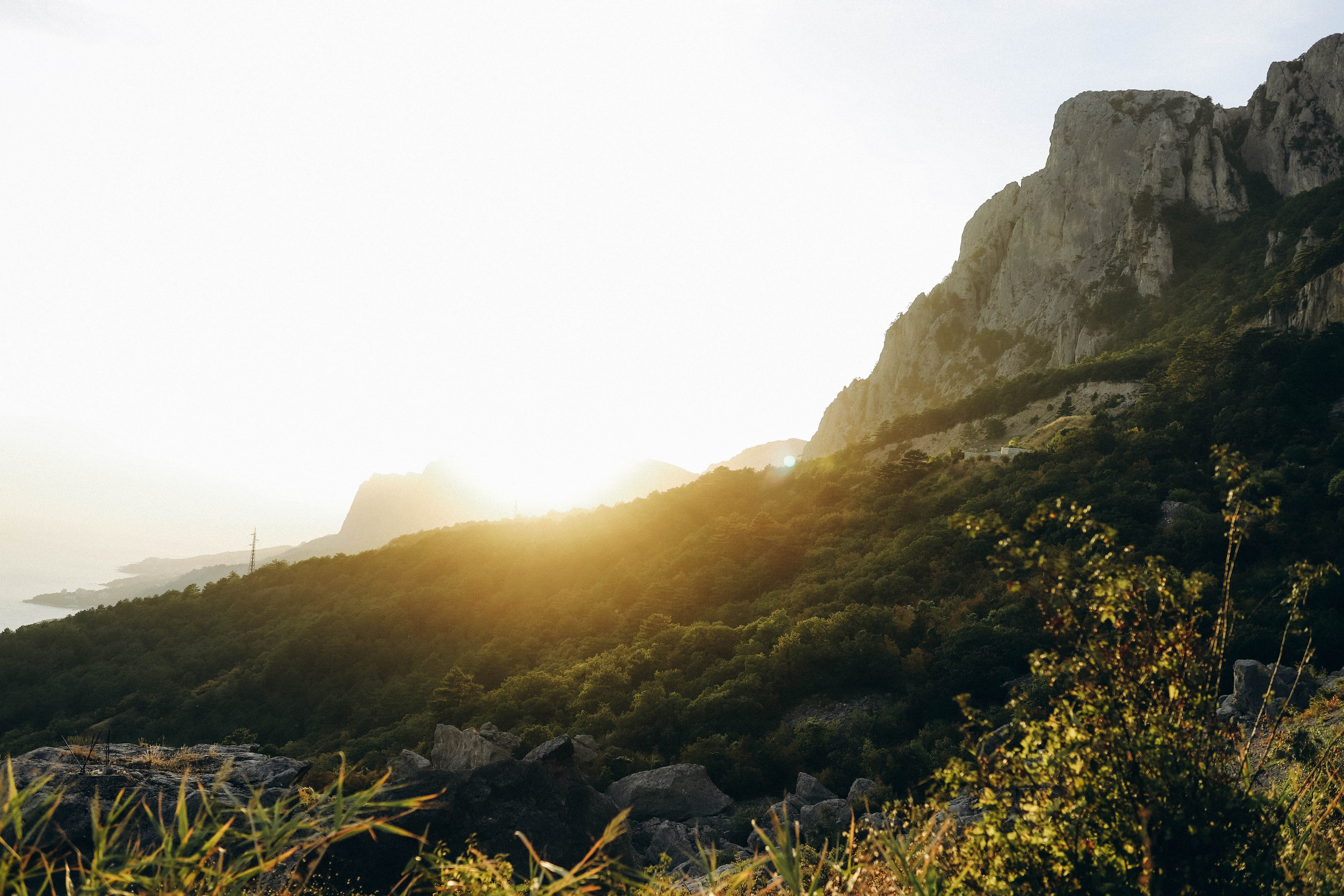 Антон & Анастасия. Свадебный фотограф в Ялте Булгакова Анна