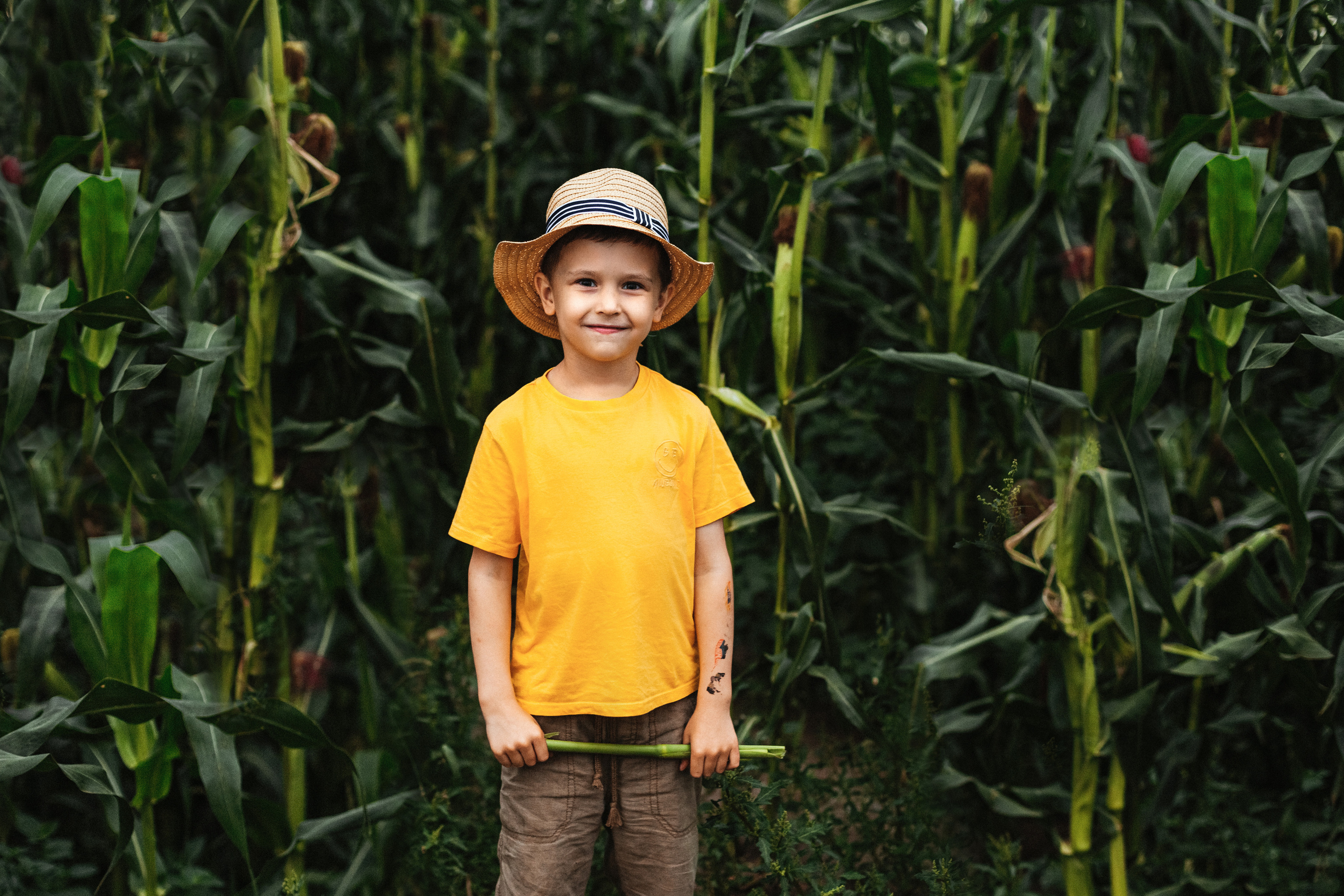 Кукуруза. Семейный фотограф Любовь Саркеева