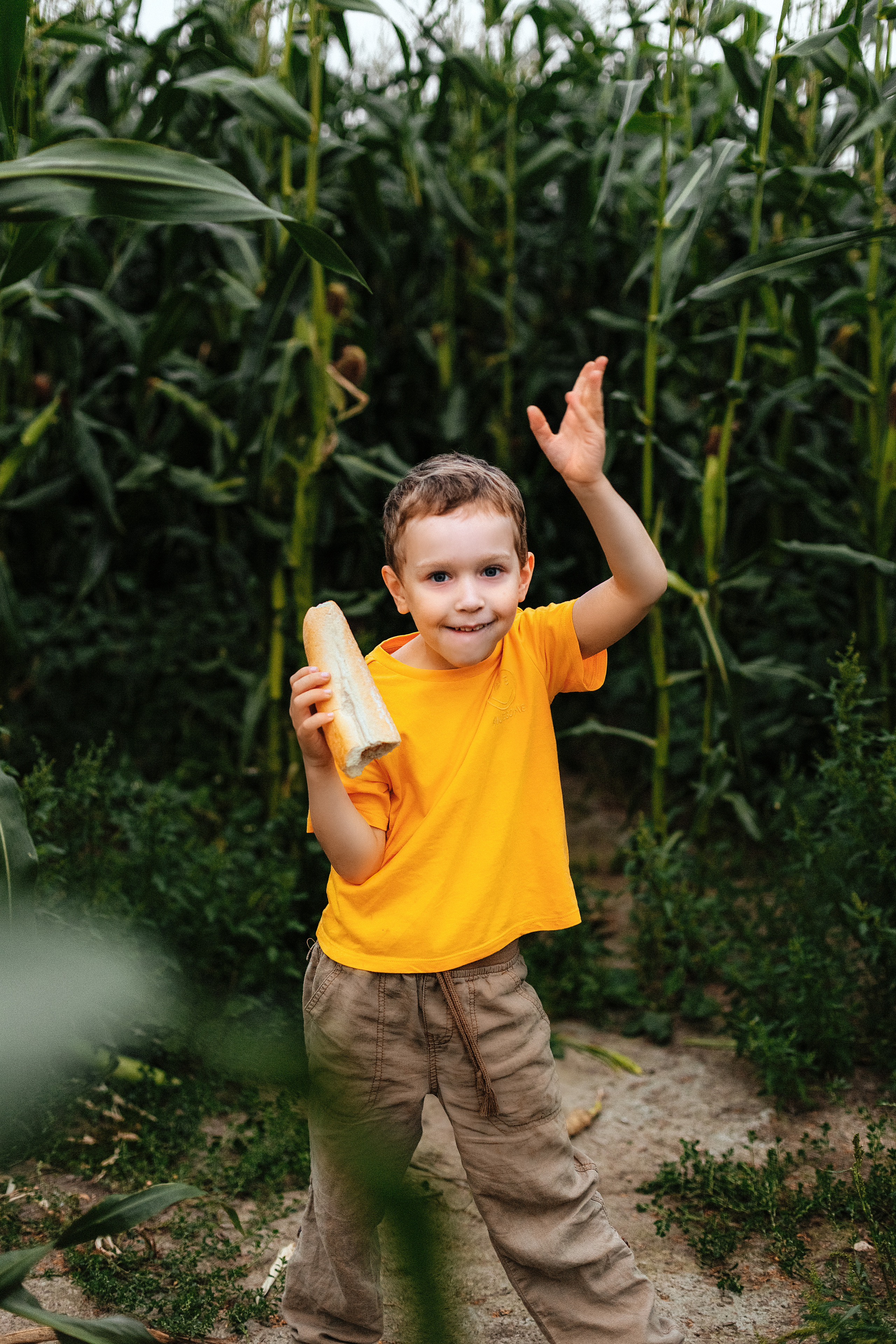 Кукуруза. Семейный фотограф Любовь Саркеева