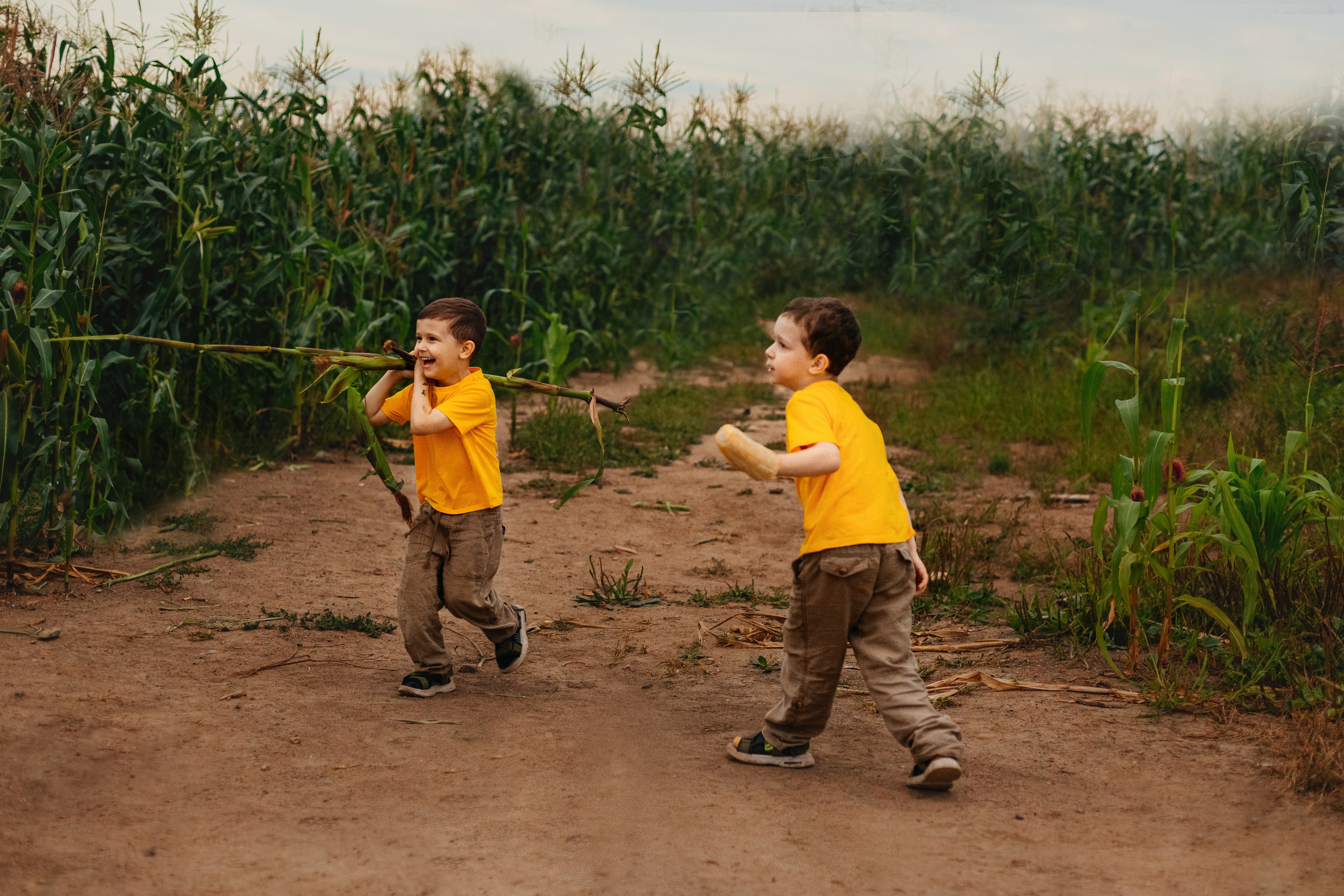 Кукуруза. Семейный фотограф Любовь Саркеева