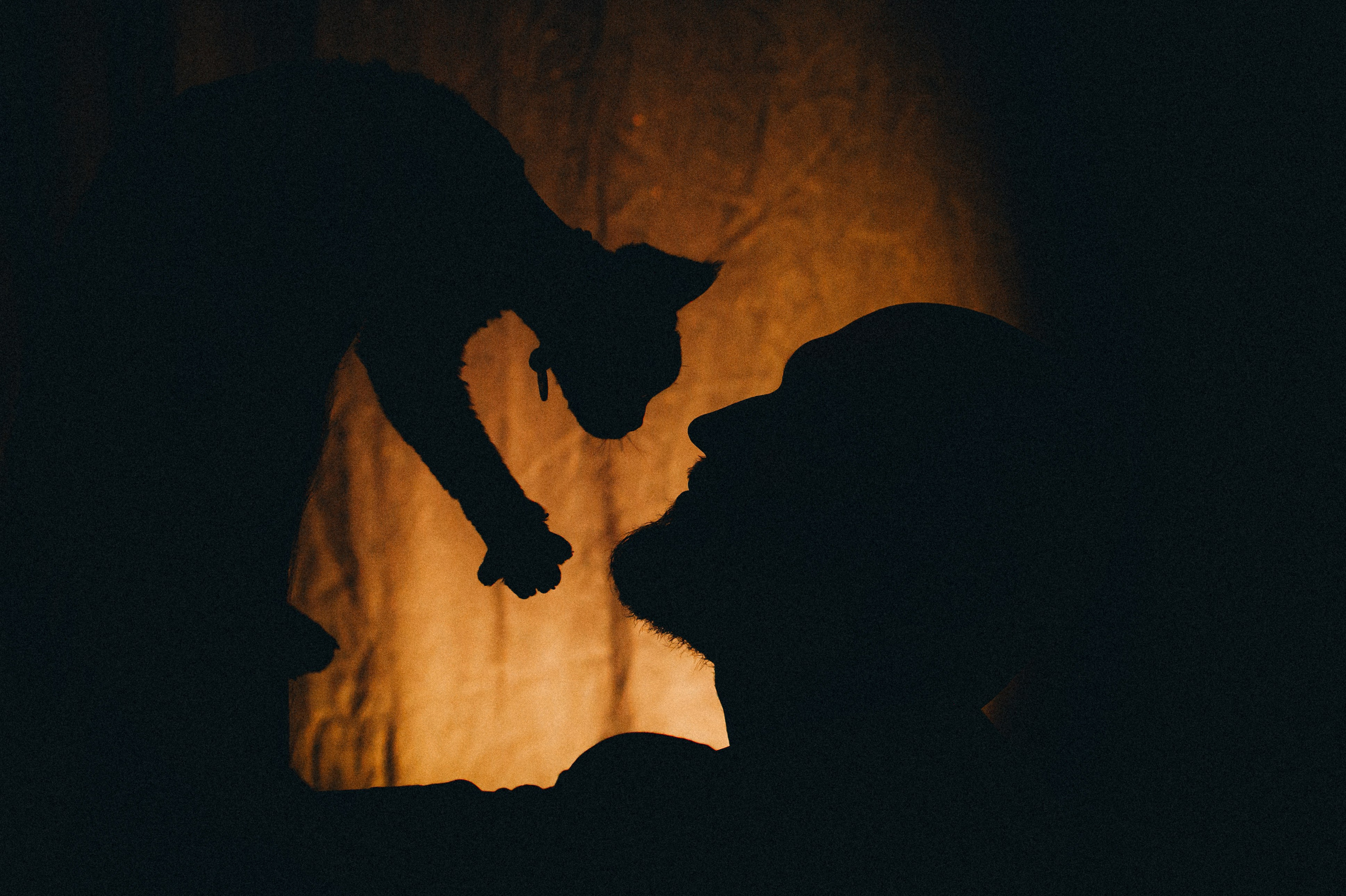 Гречка, Ковш и их семья