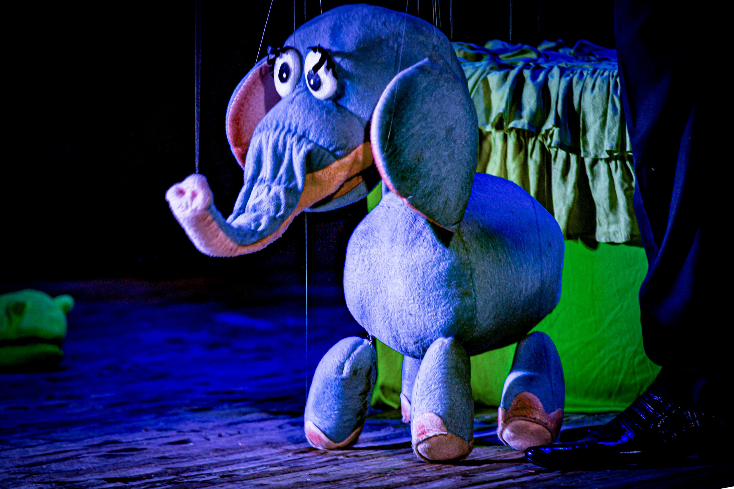 Любопытный слоненок спектакль театра Саквояж. Фотограф в Сочи Юрий Шептаев