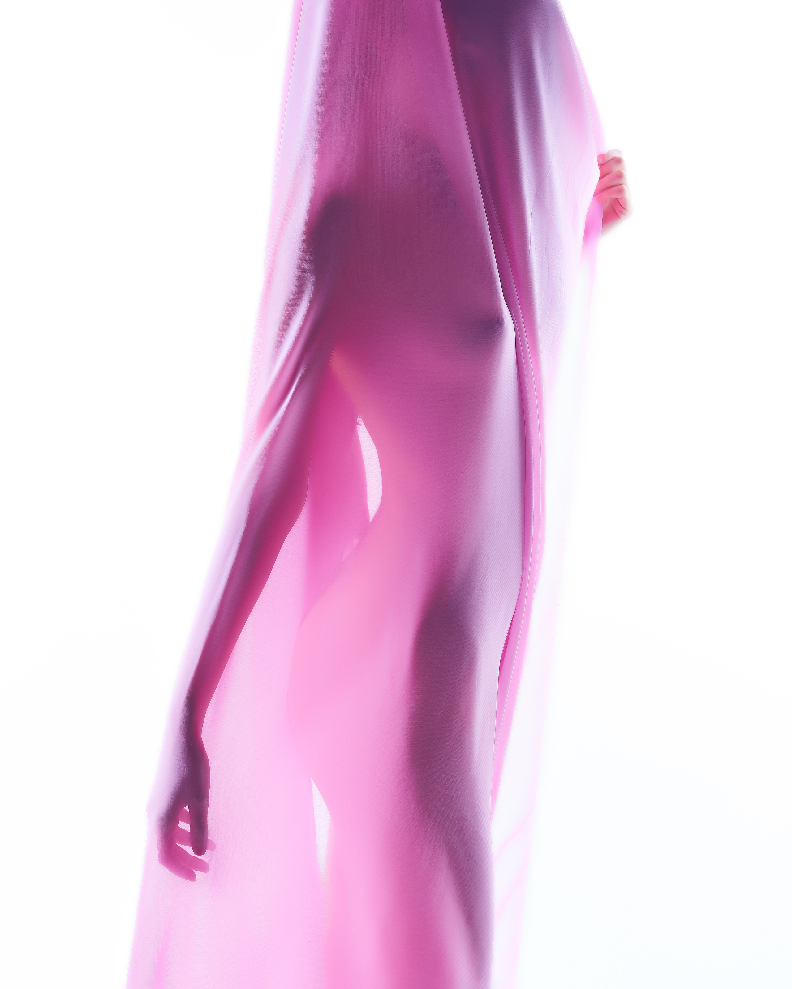 Розовый. Алексей Романов фотограф Санкт-Петербург, фотокурсы, фотошкола