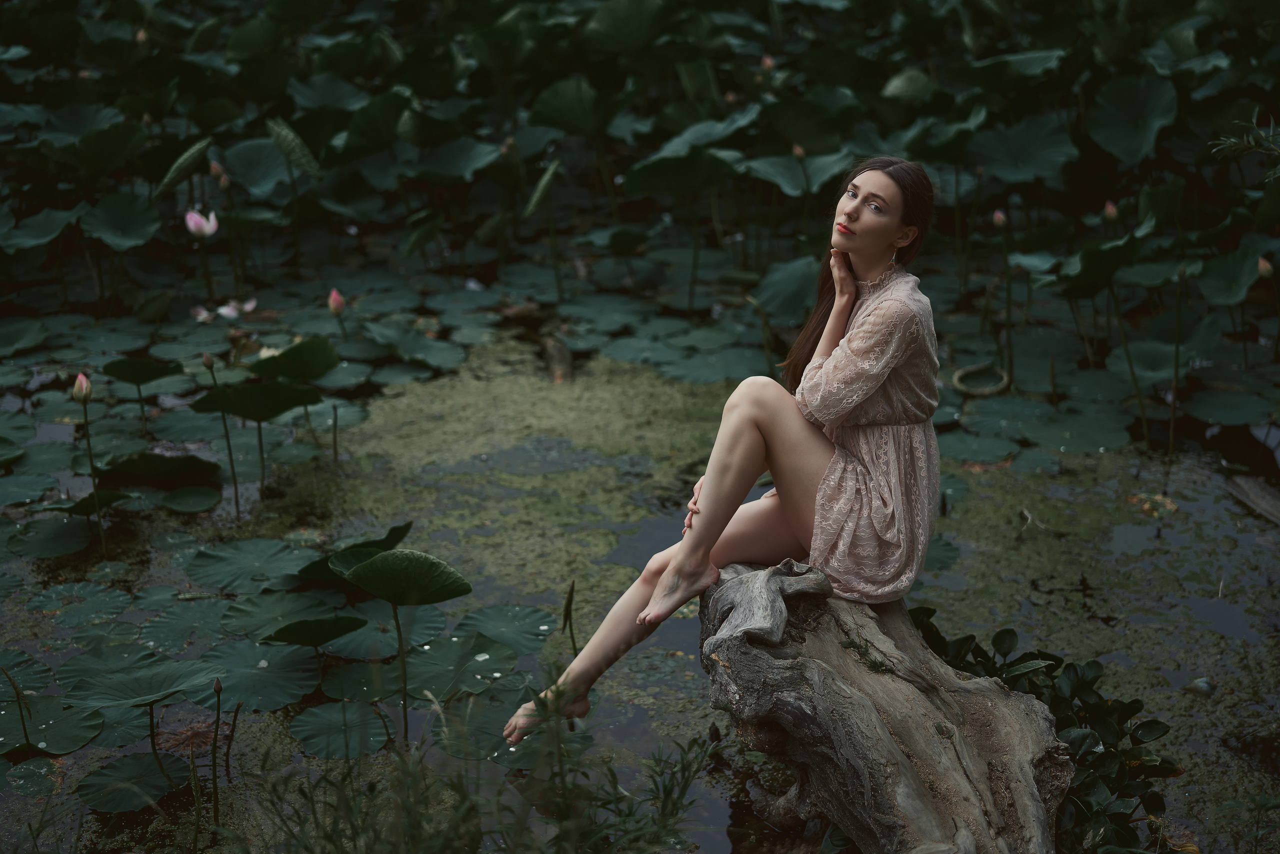 Лотосы. Алексей Романов фотограф Санкт-Петербург, фотокурсы, фотошкола