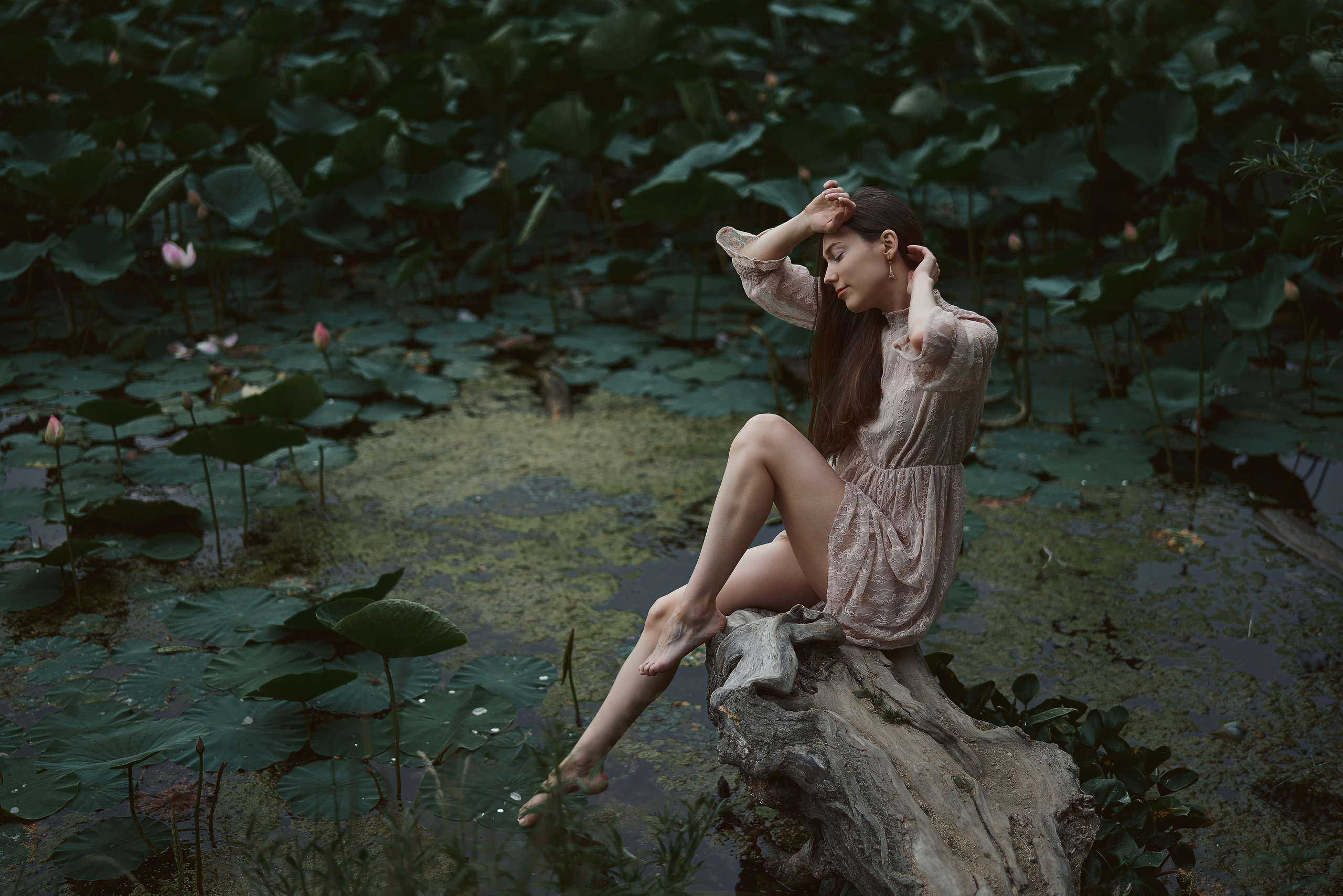 Лотосы. Алексей Романов фотограф Санкт-Петербург, фотокурсы, фотошкола