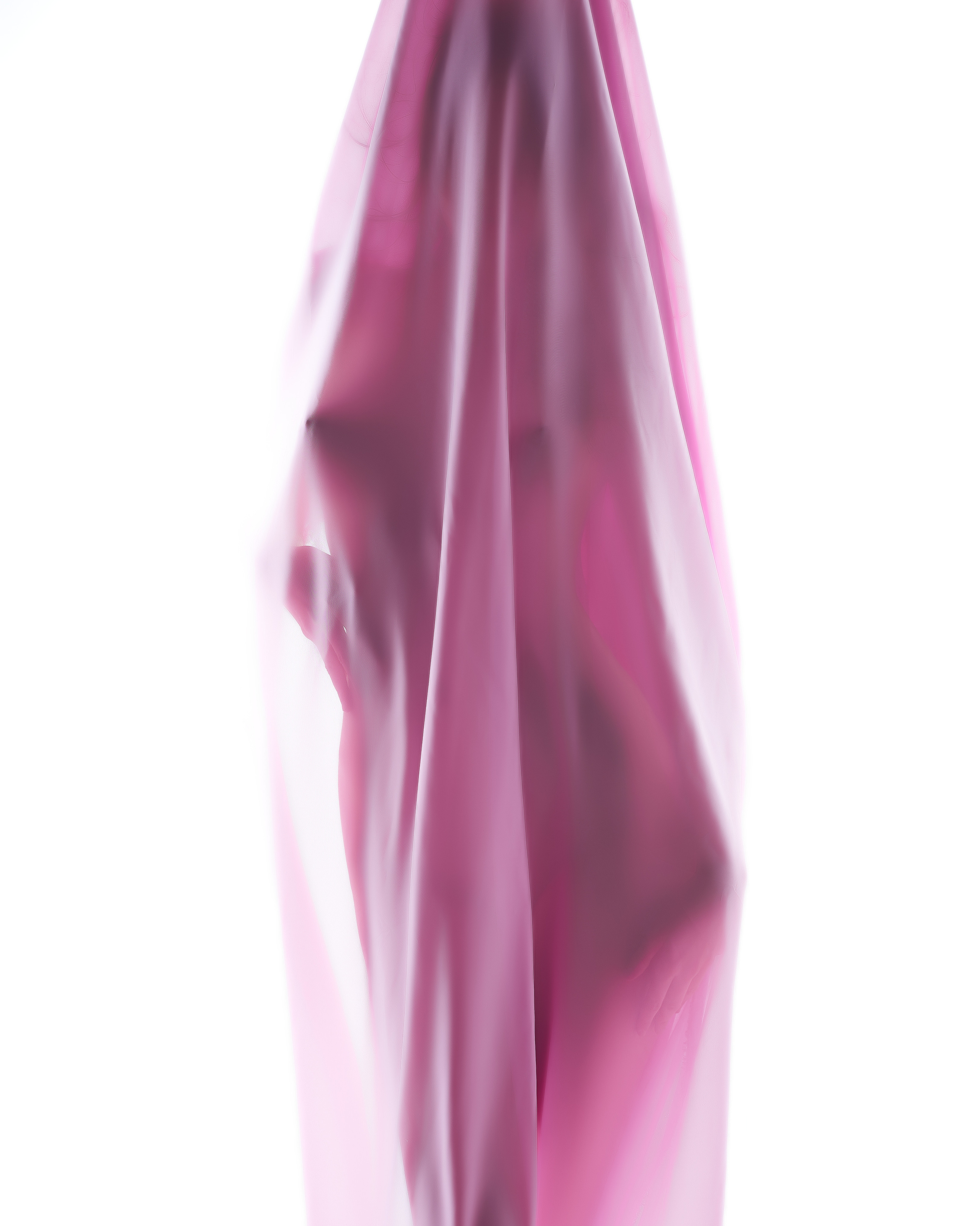 Розовый. Алексей Романов фотограф Санкт-Петербург, фотокурсы, фотошкола