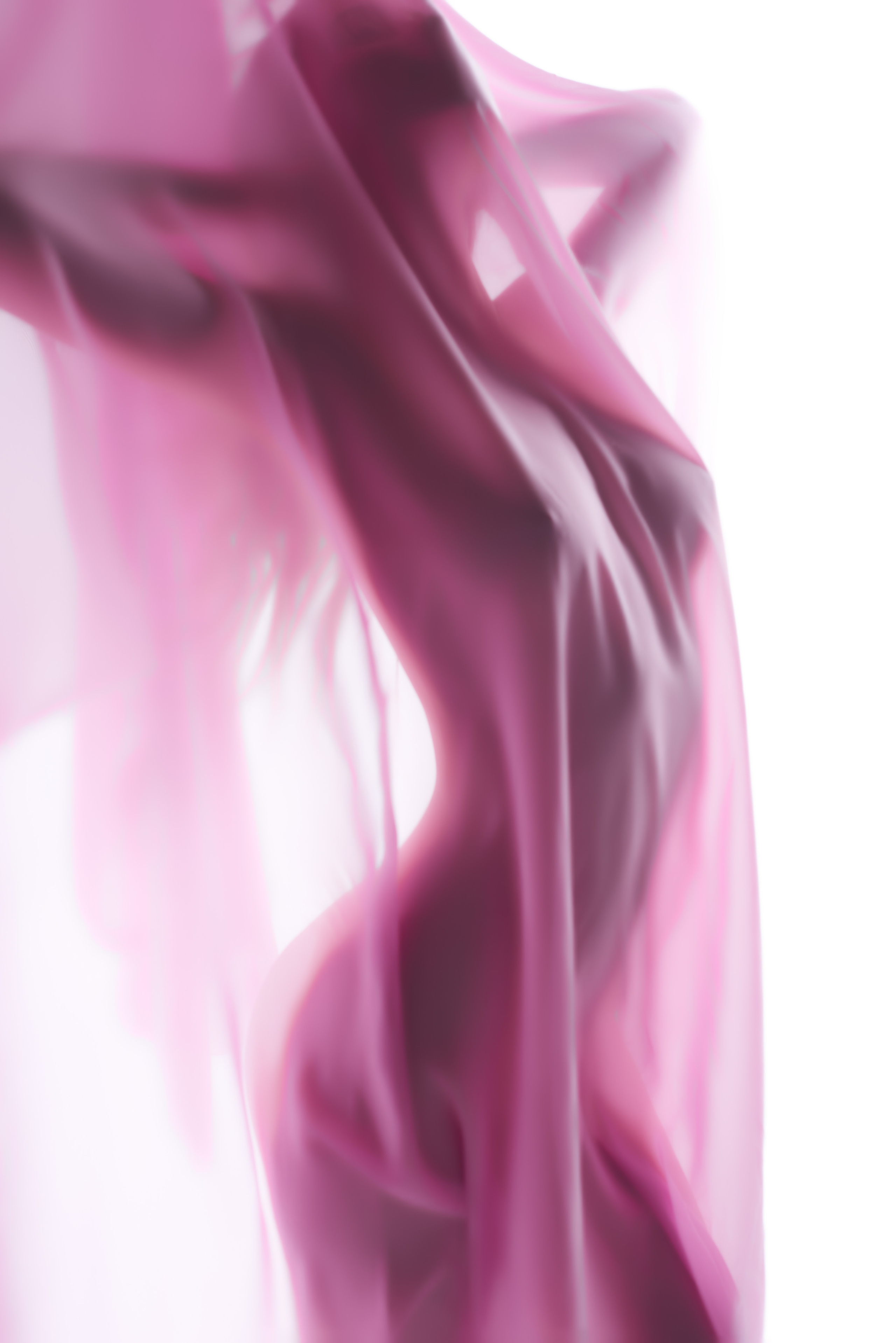 Розовый. Алексей Романов фотограф Санкт-Петербург, фотокурсы, фотошкола