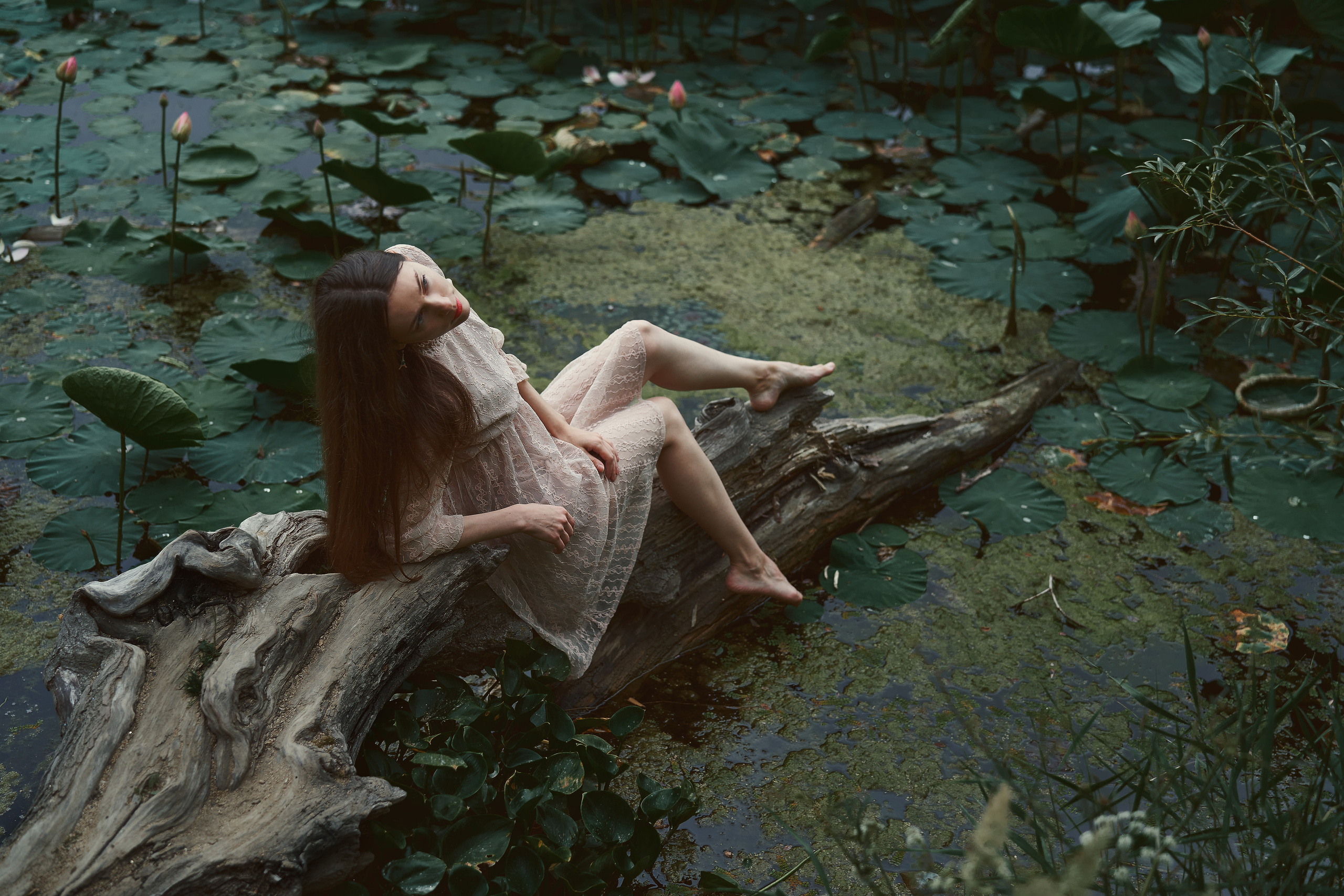 Лотосы. Алексей Романов фотограф Санкт-Петербург, фотокурсы, фотошкола