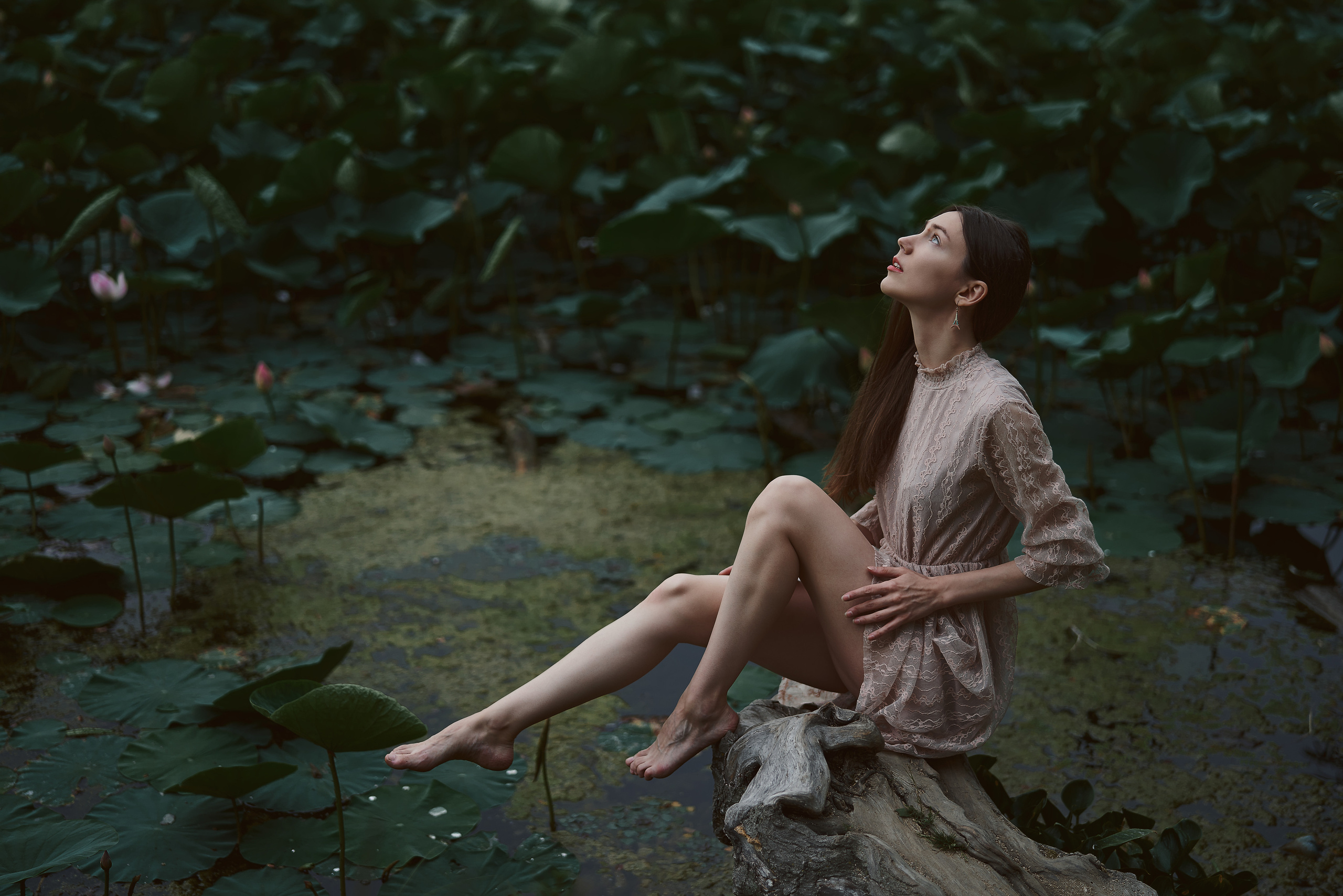 Лотосы. Алексей Романов фотограф Санкт-Петербург, фотокурсы, фотошкола