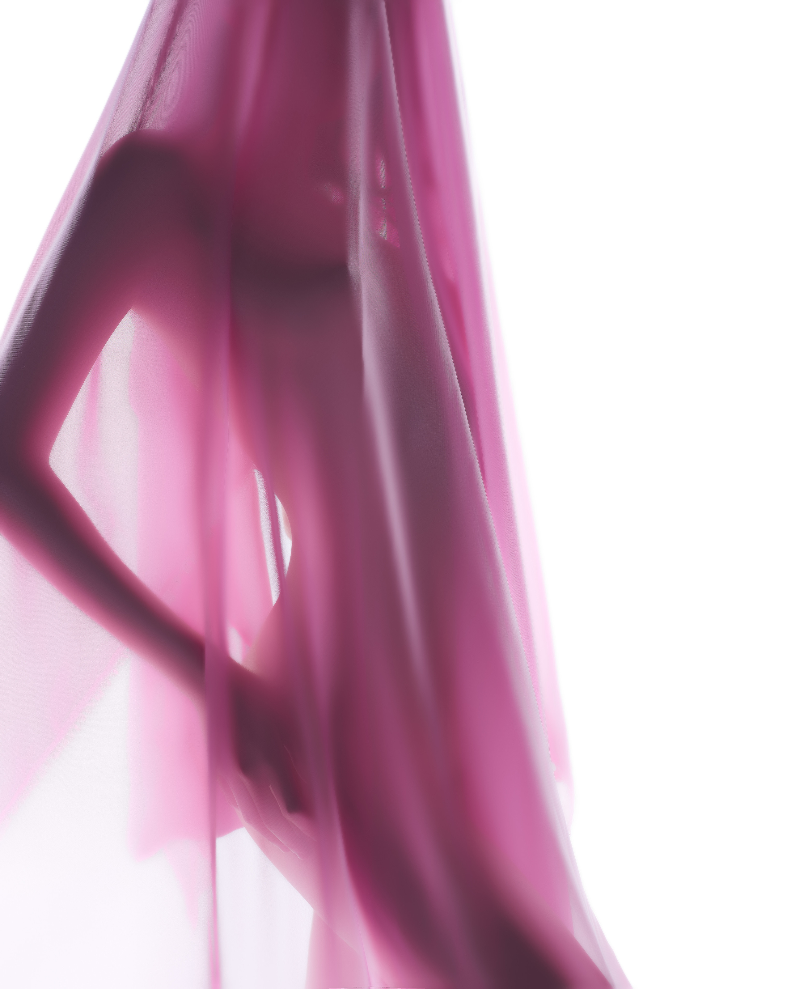 Розовый. Алексей Романов фотограф Санкт-Петербург, фотокурсы, фотошкола