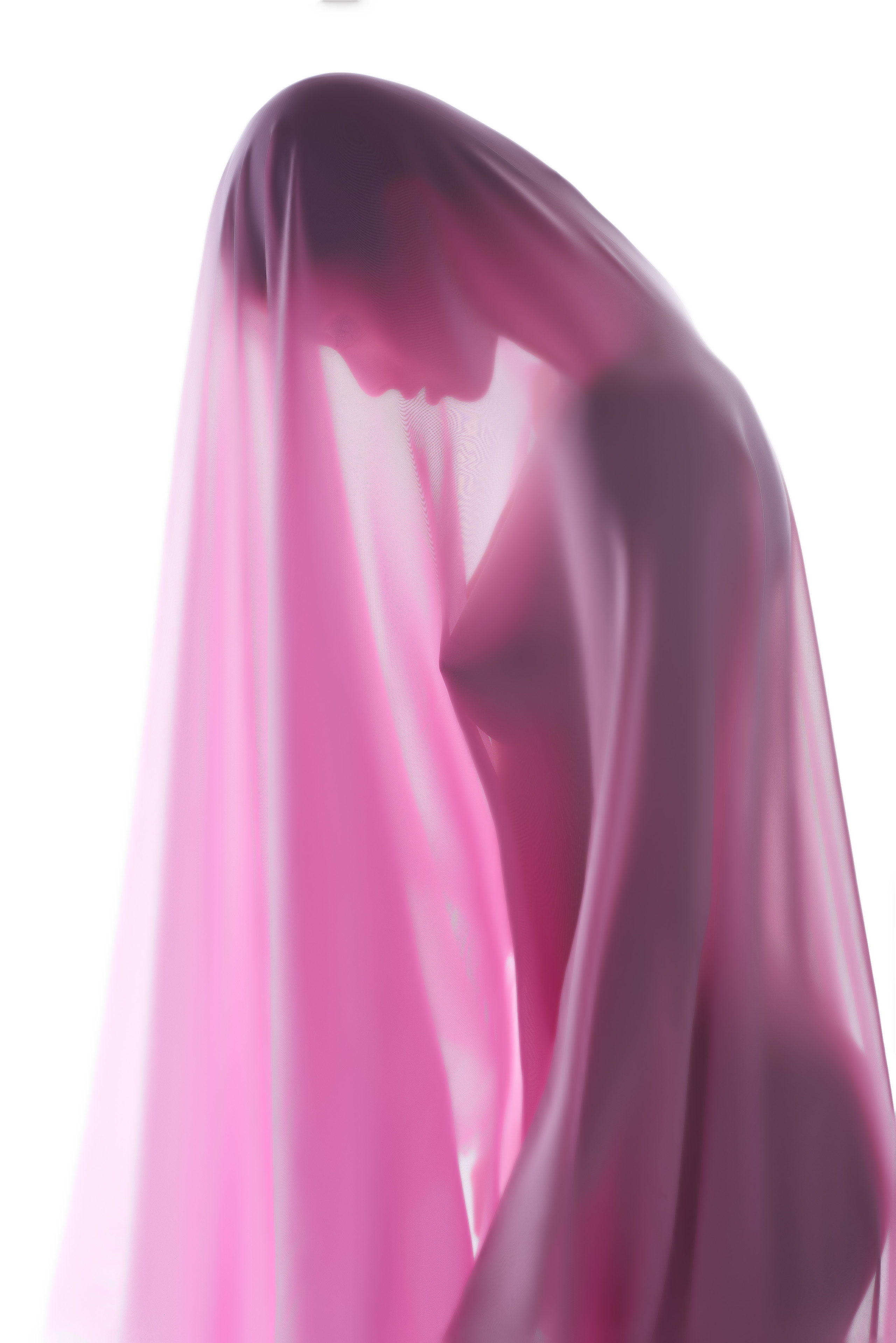 Розовый. Алексей Романов фотограф Санкт-Петербург, фотокурсы, фотошкола