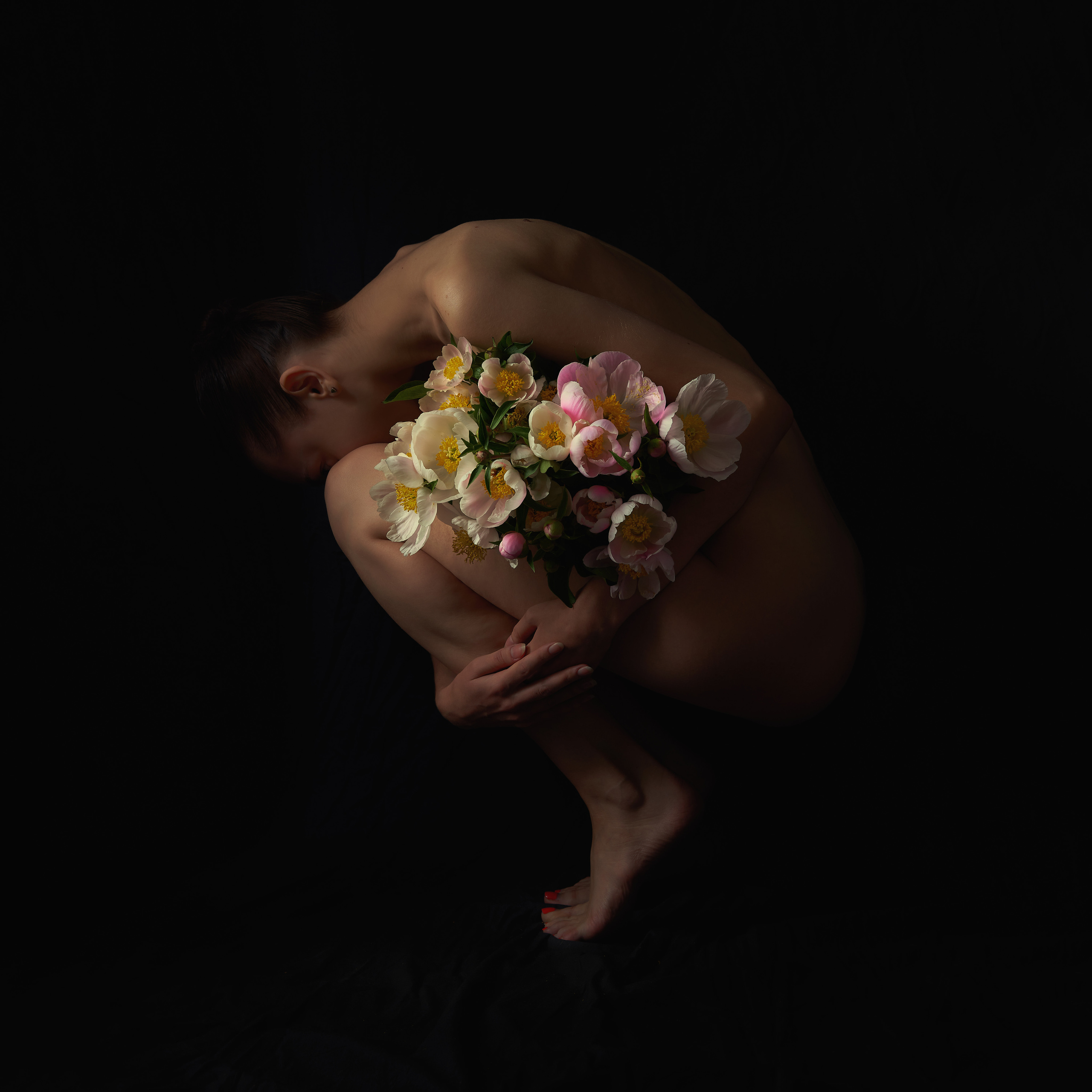 Пионы. Алексей Романов фотограф Санкт-Петербург, фотокурсы, фотошкола