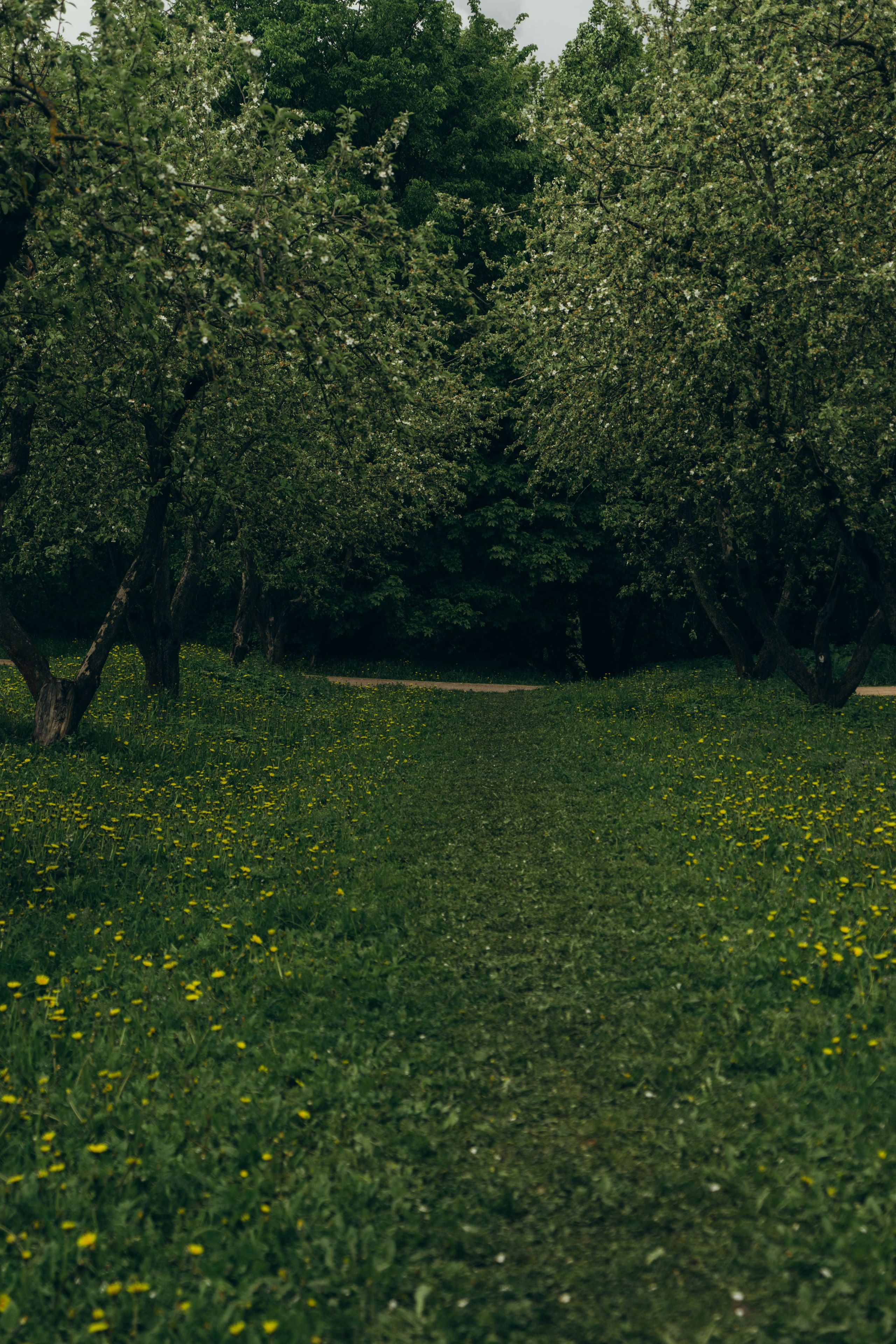 Светлана. Фотограф Аби