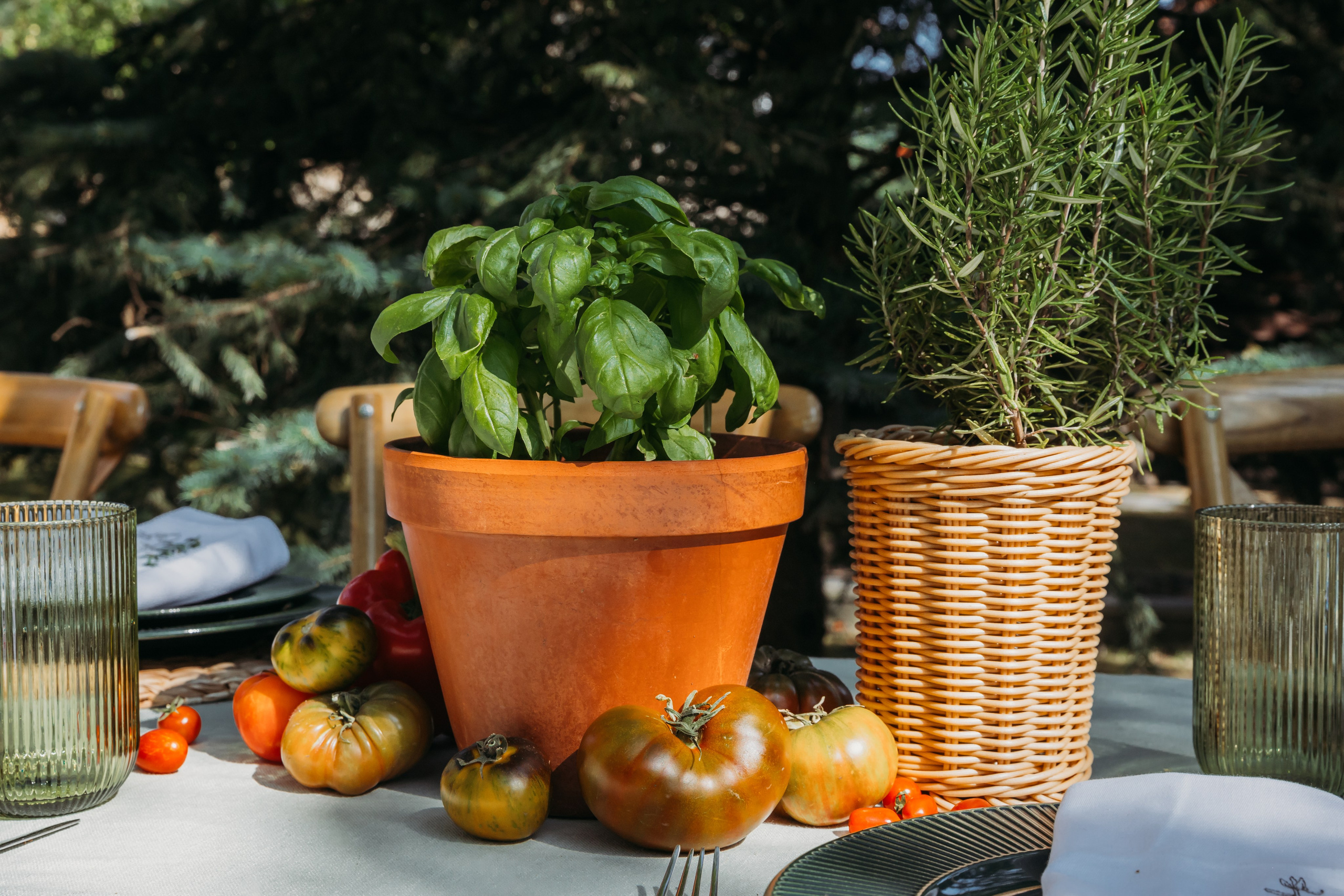 Родные люди «Итальянский день». Леся Гаранина. Семейный фотограф/видеограф Москва и область
