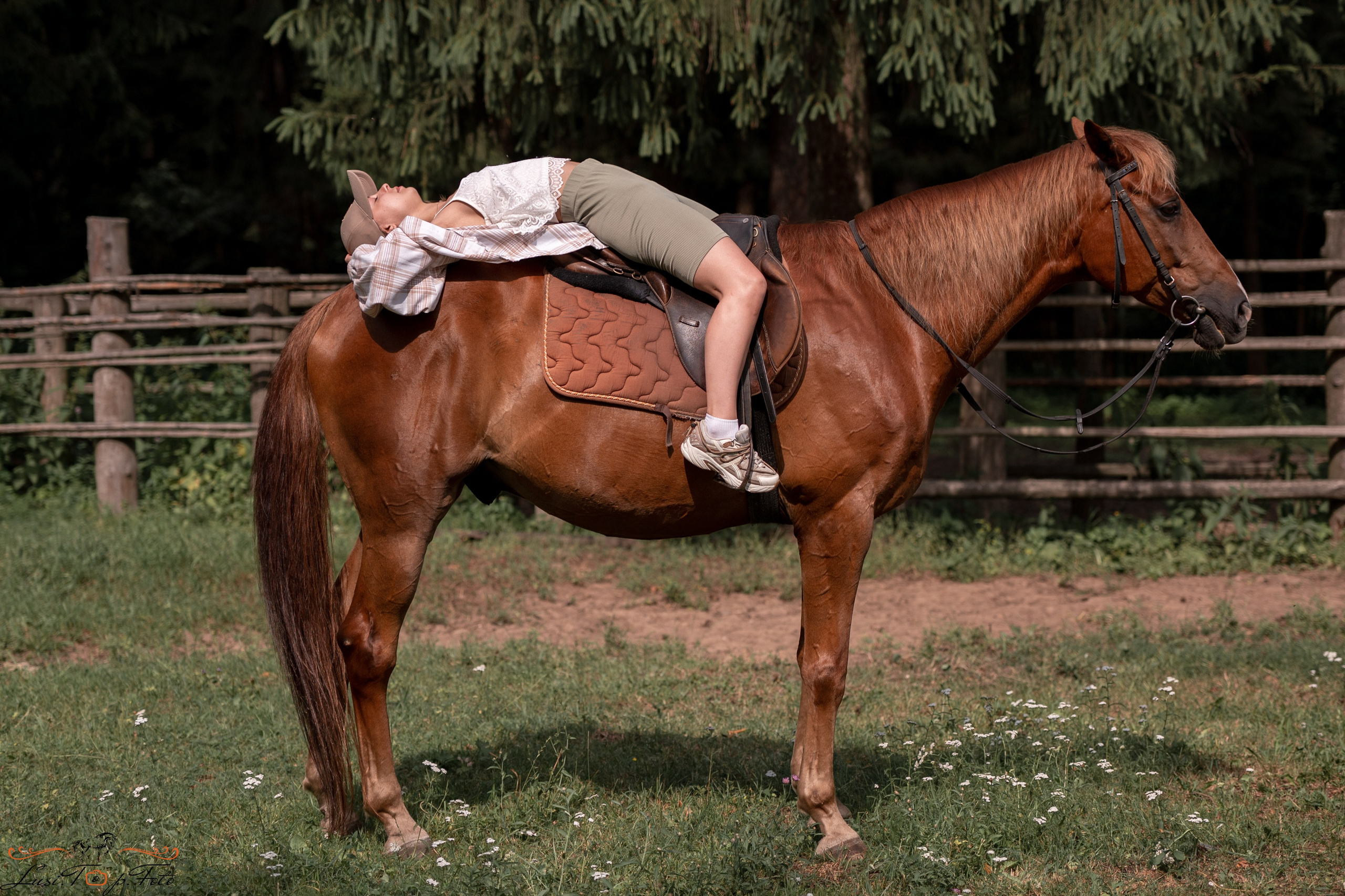 Фотосессия «Без ретуши». Конный и фотограф с животными в Твери Топталова Люся