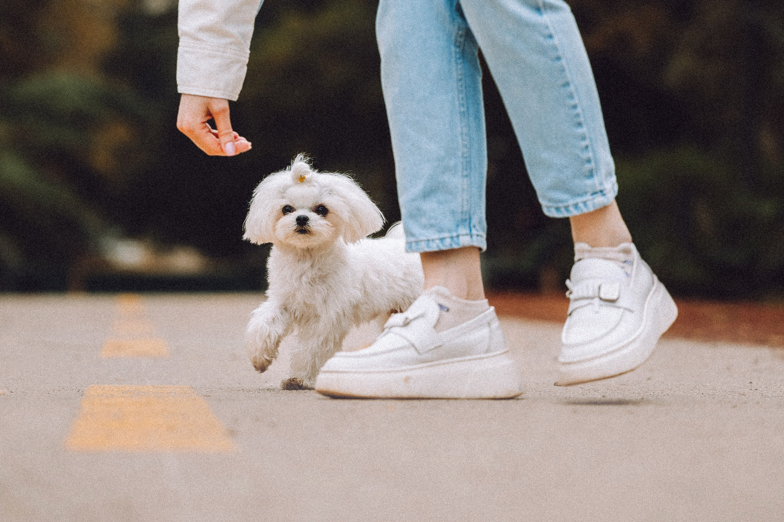 Настя и Гоша