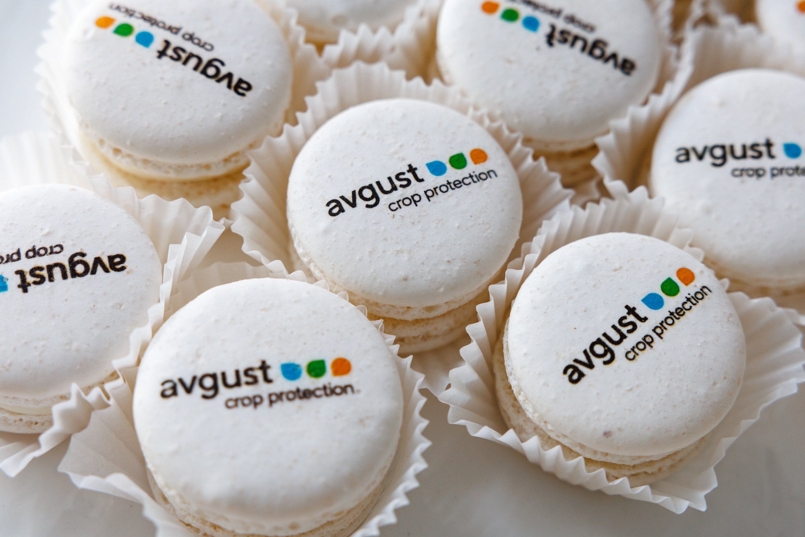 День Поля 2024 Мин-Воды ЭКСПО. Фотограф Ставрополь Петр Голубенко