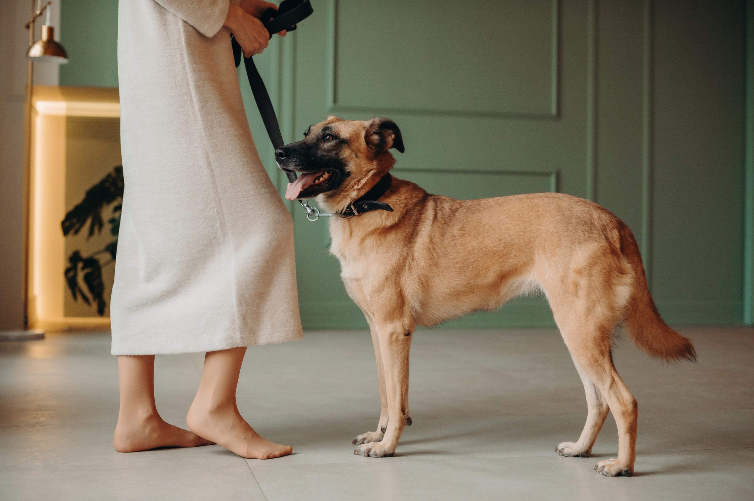 Анималистика. Главная