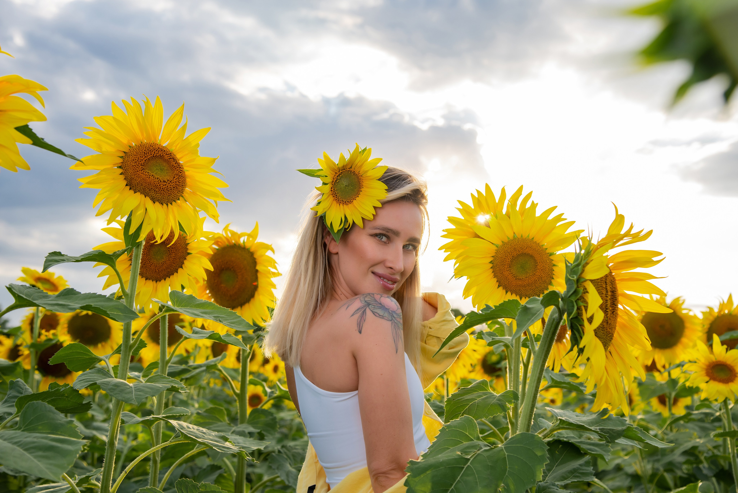 Подсолнух. Фотограф Галина Нестерова