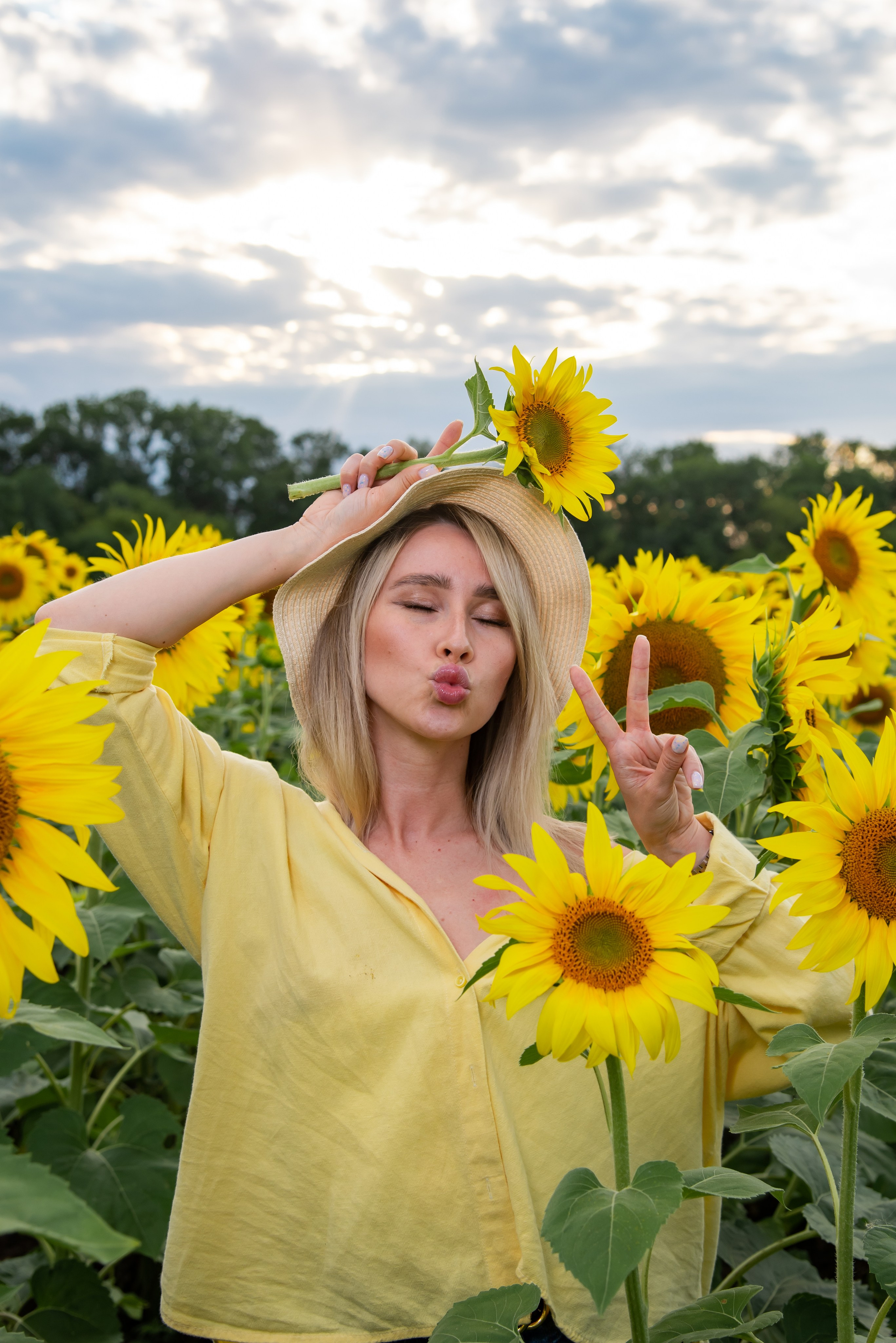 Подсолнух. Фотограф Галина Нестерова