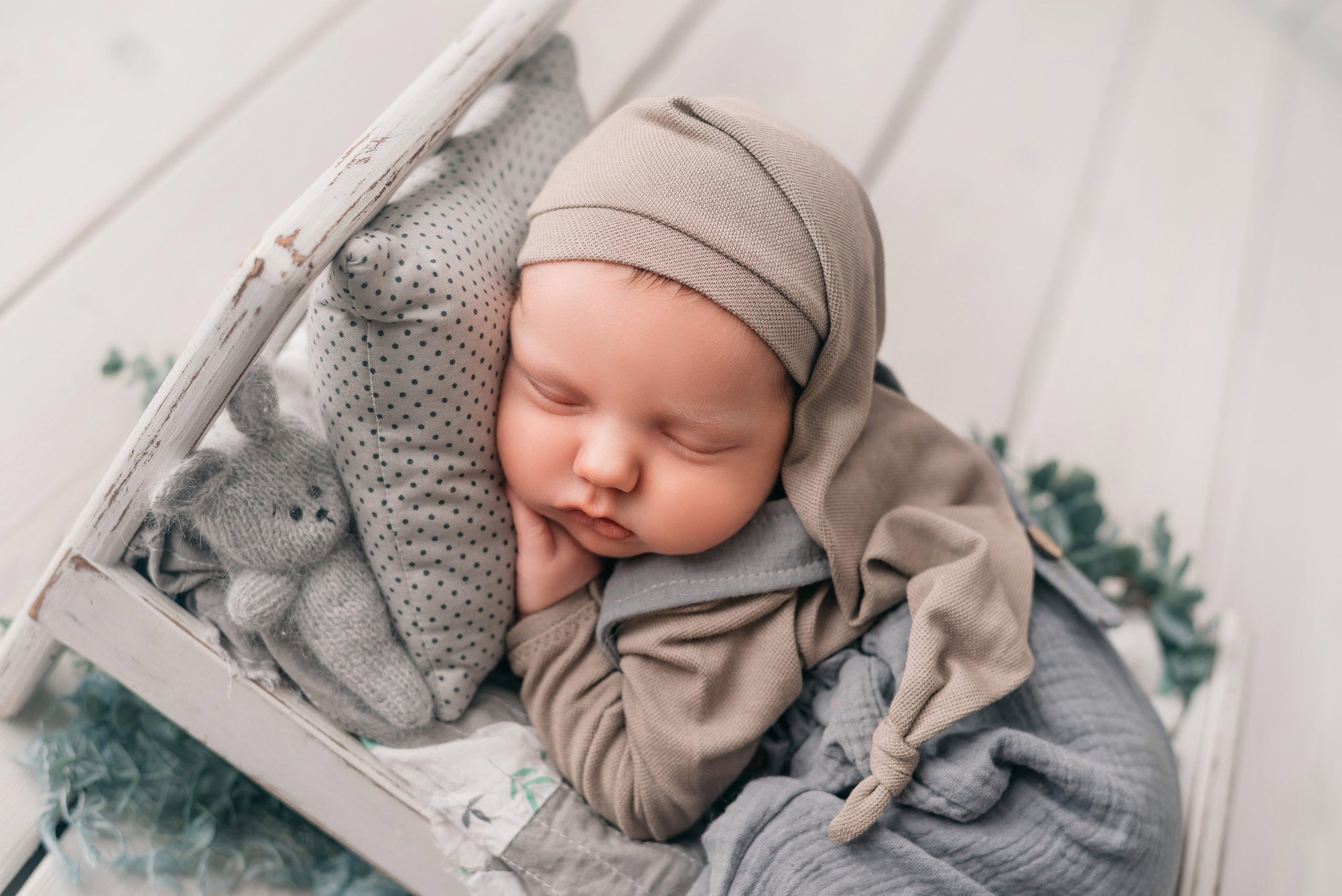 Лев. Фотограф новорожденных Белгород