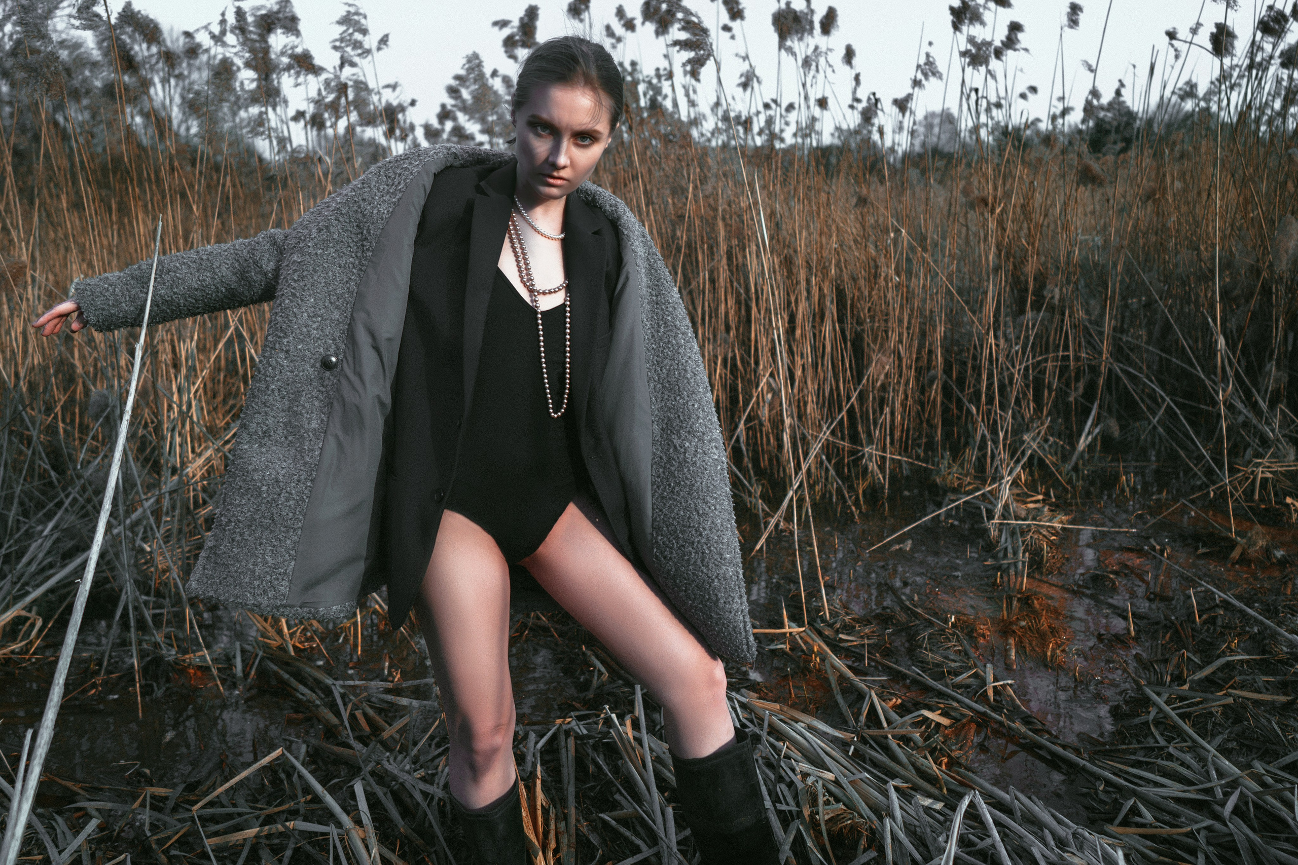 PHRAGMITES AUSTRALIS. Sergey,kuzichev