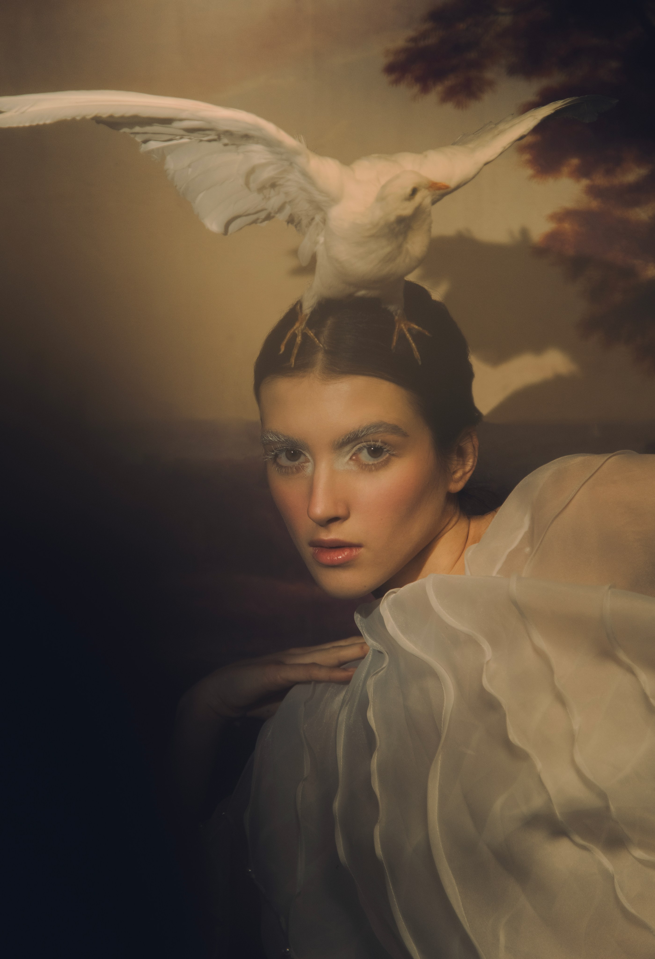 Птица. Фотограф Anita Mivchas