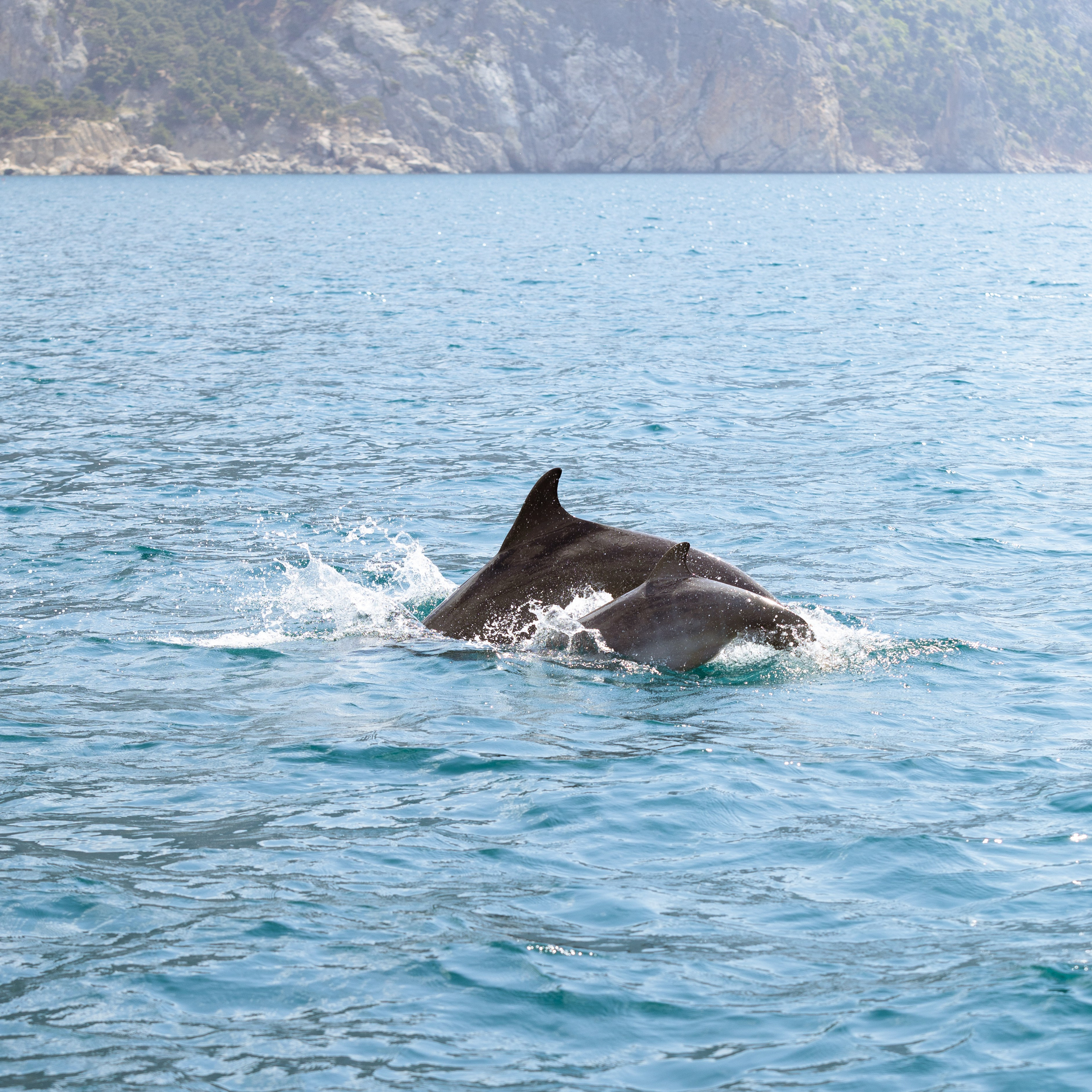 Морская Романтика. Артем Корнев Фотограф