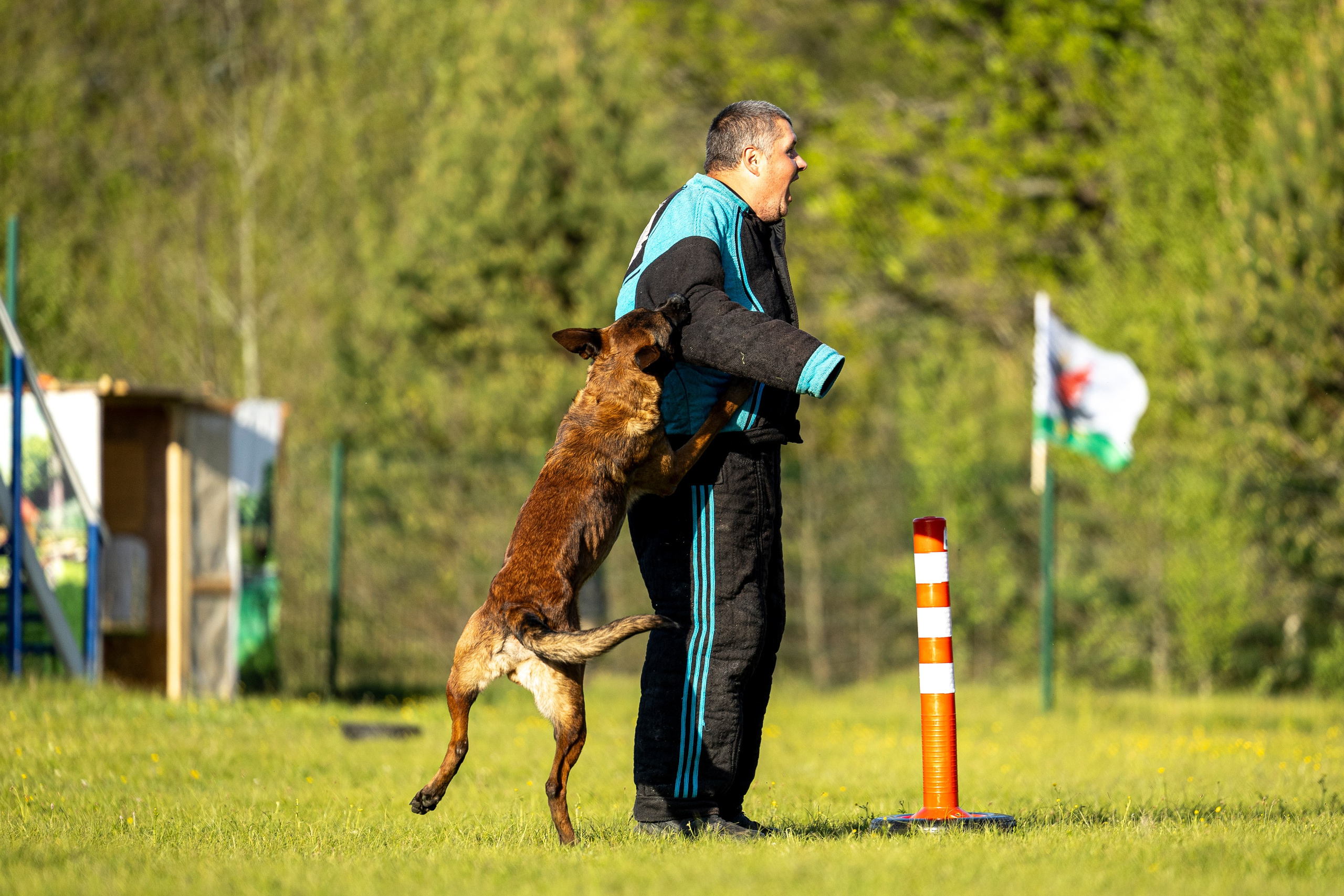 Испытания по мондьорингу в Нижнем Новгороде. Фотограф-анималист Анна Маринич