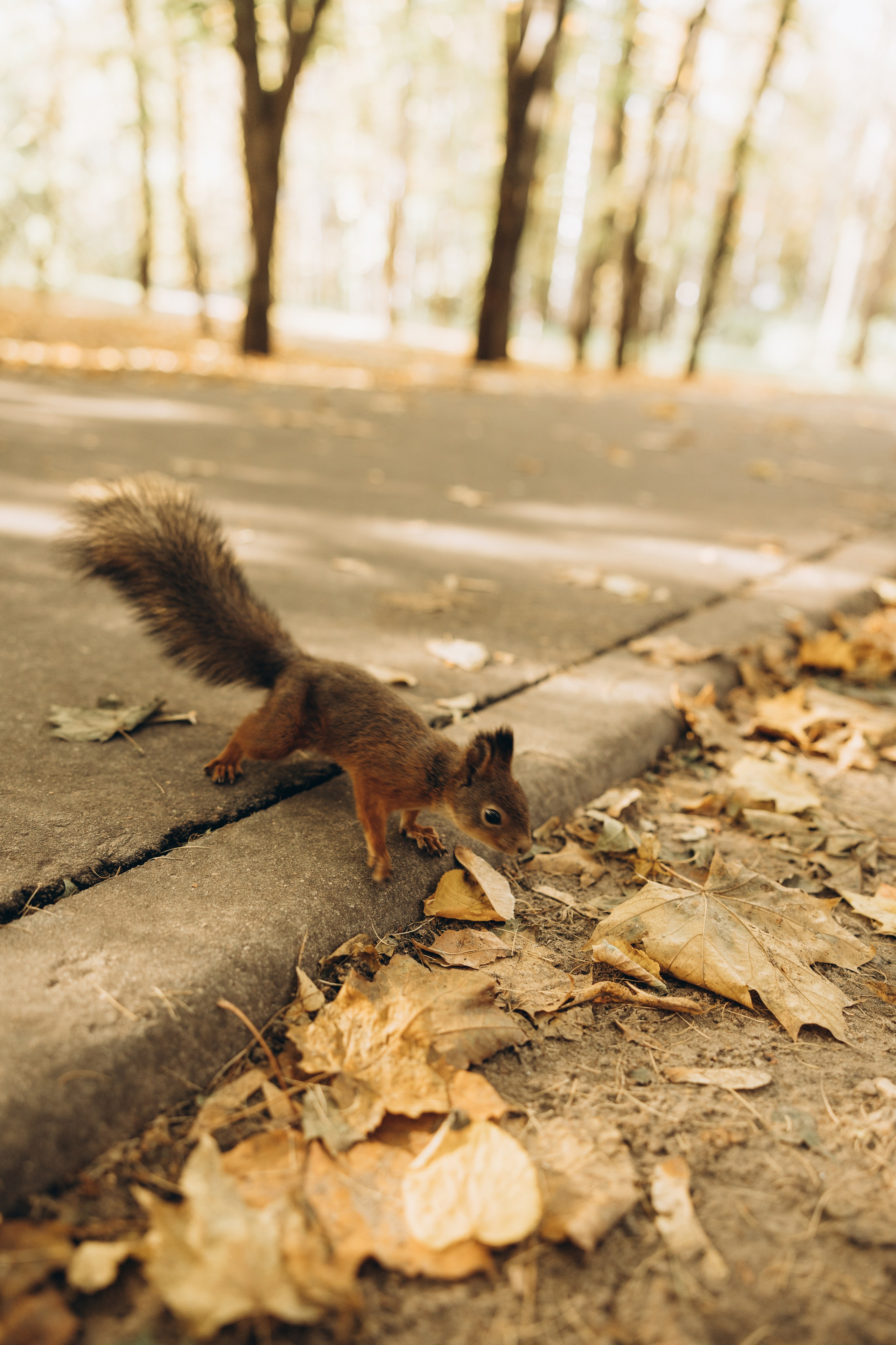 Оля. Семейный фотограф в Москве Виктория Ястребинская