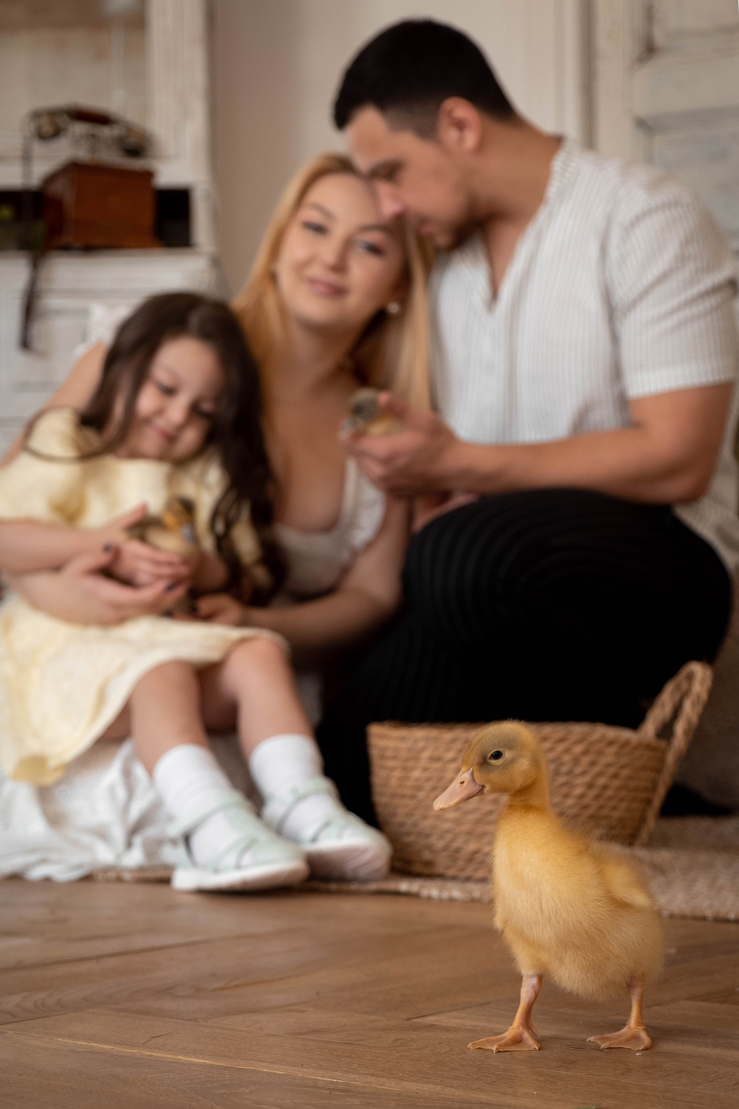 Ксения, Илья и Оливия. Свадебный и семейный фотограф в Тюмени Екатерина Дубровина