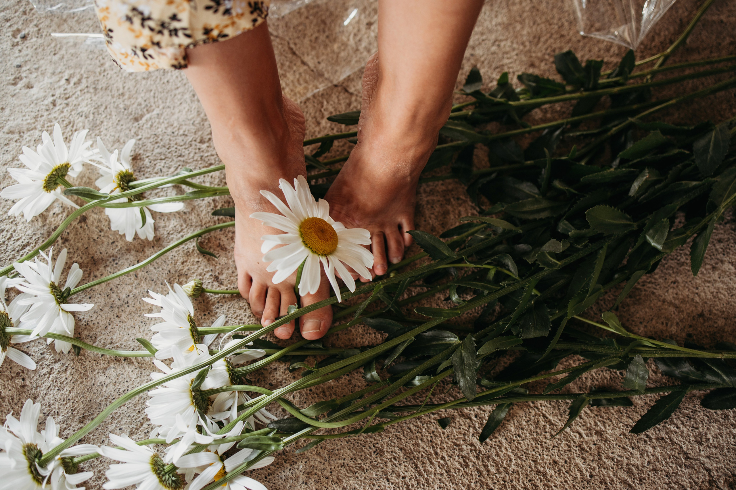 Дача Квитко. Фотограф Сочи Татьяна Зорина