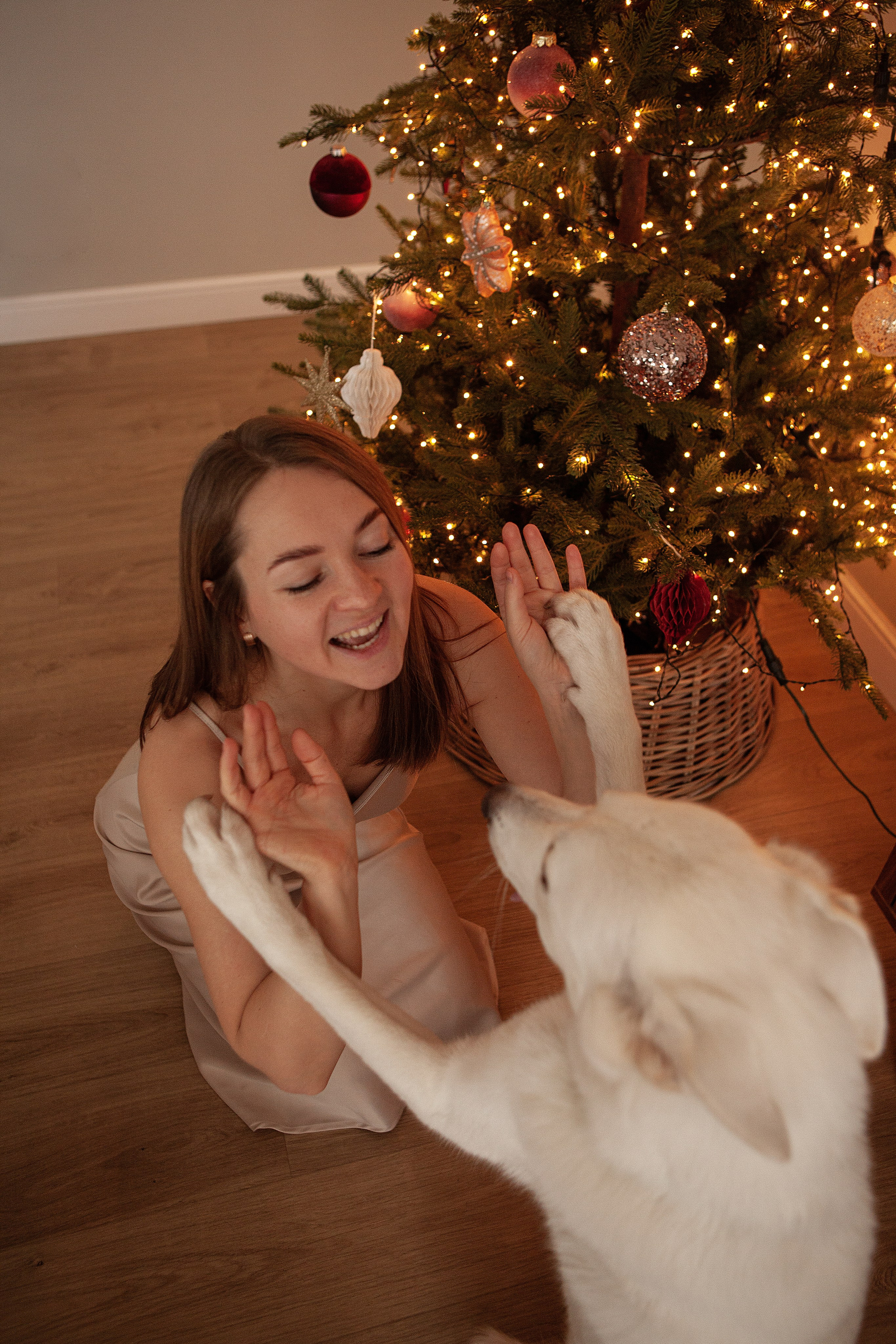 Татьяна & Зефирка. Свадебный фотограф в СПБ | Санкт-Петербурге Анастасия Рахимгулова