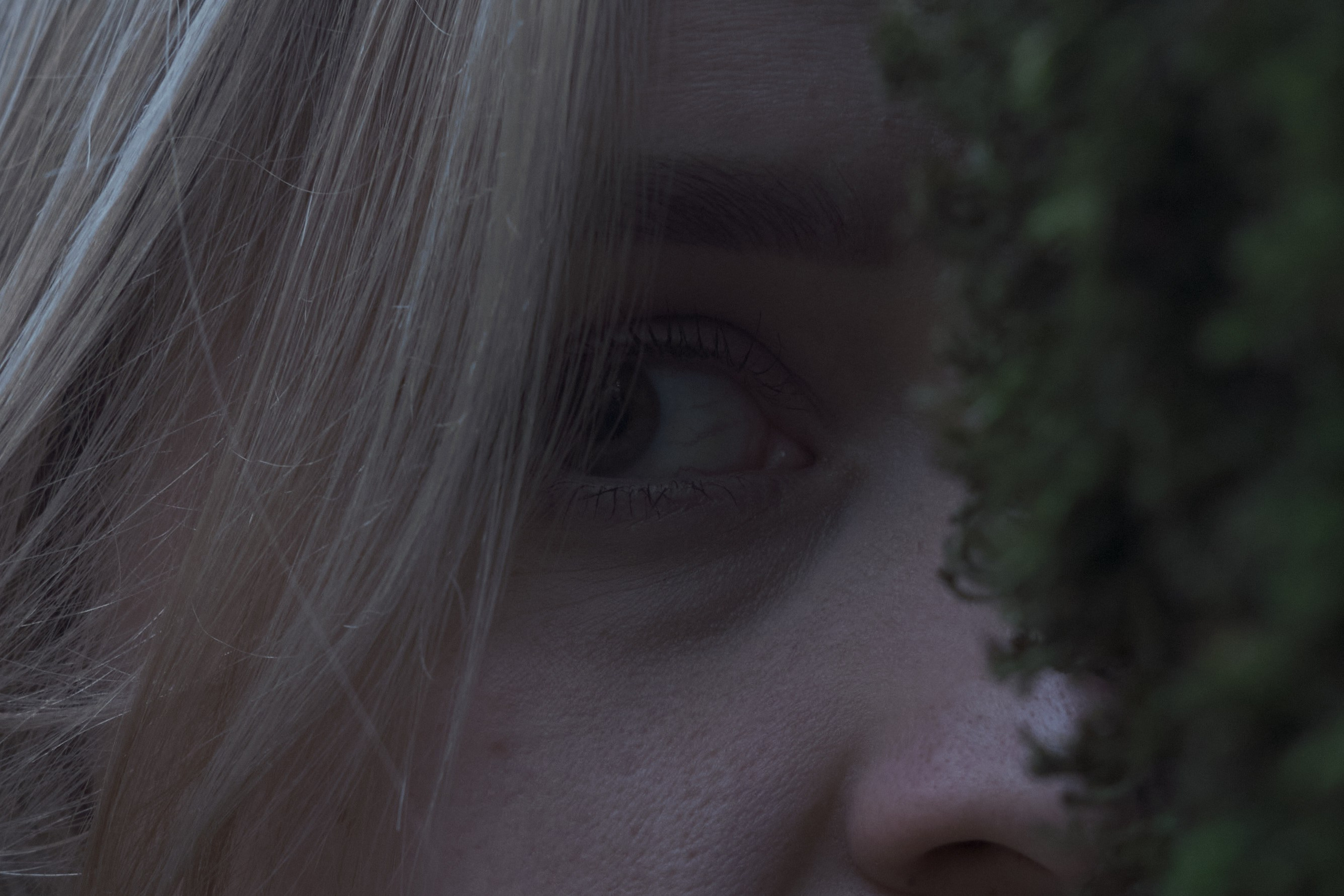 Юлия Микка. Barsukov