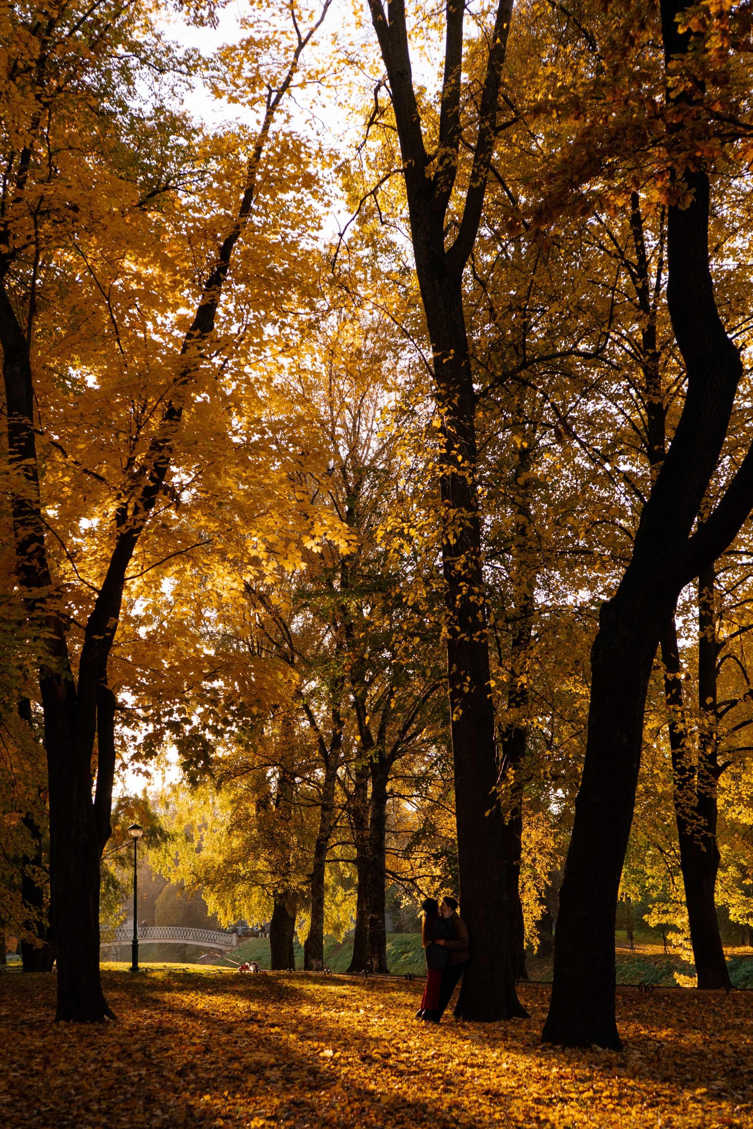 ОСЕННЯЯ ПРОГУЛКА. Профессиональный фотограф, Санкт-Петербург — Виктория Богомолова