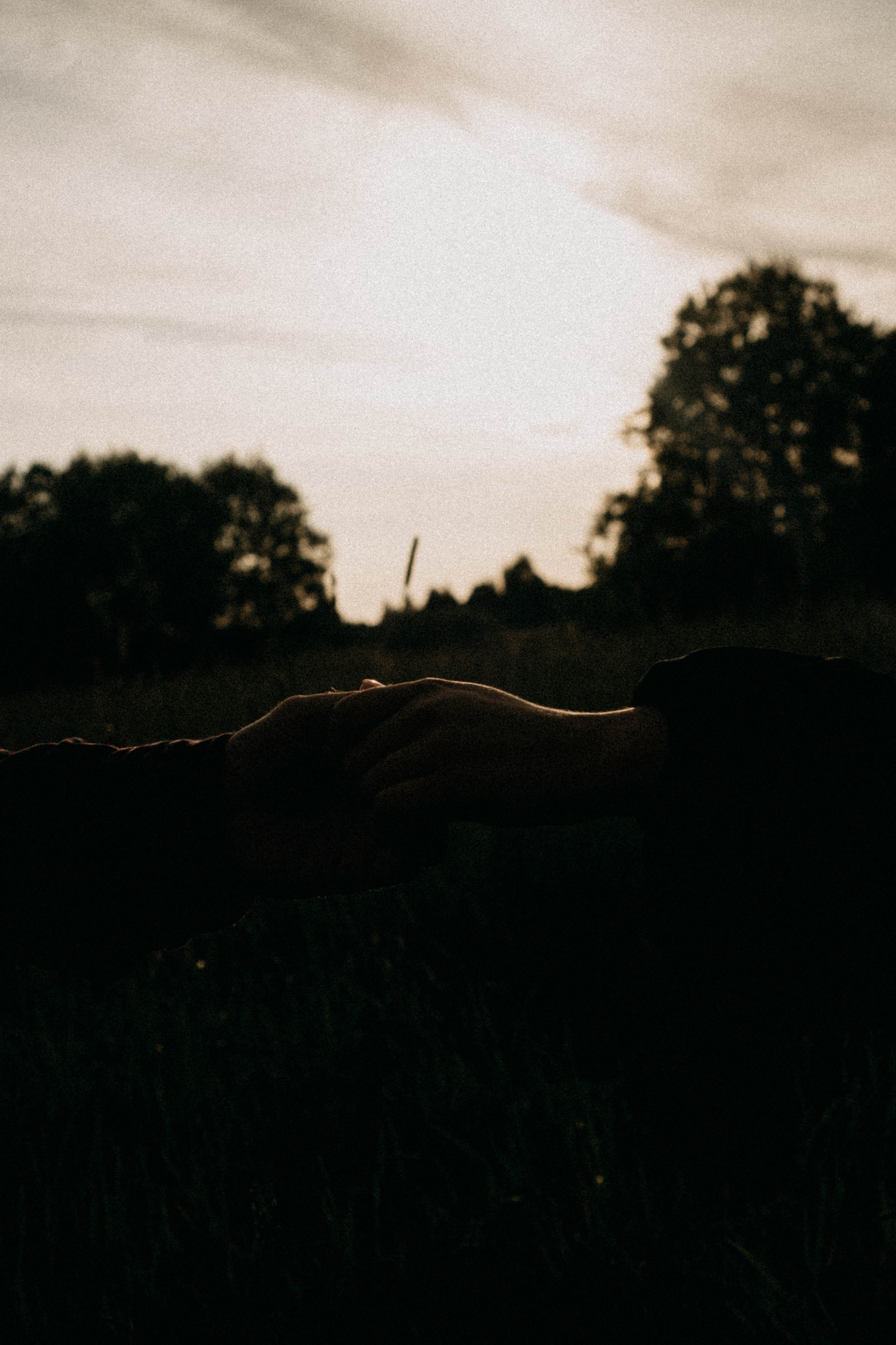 Летняя прогулка. Профессиональный фотограф, Санкт-Петербург — Виктория Богомолова