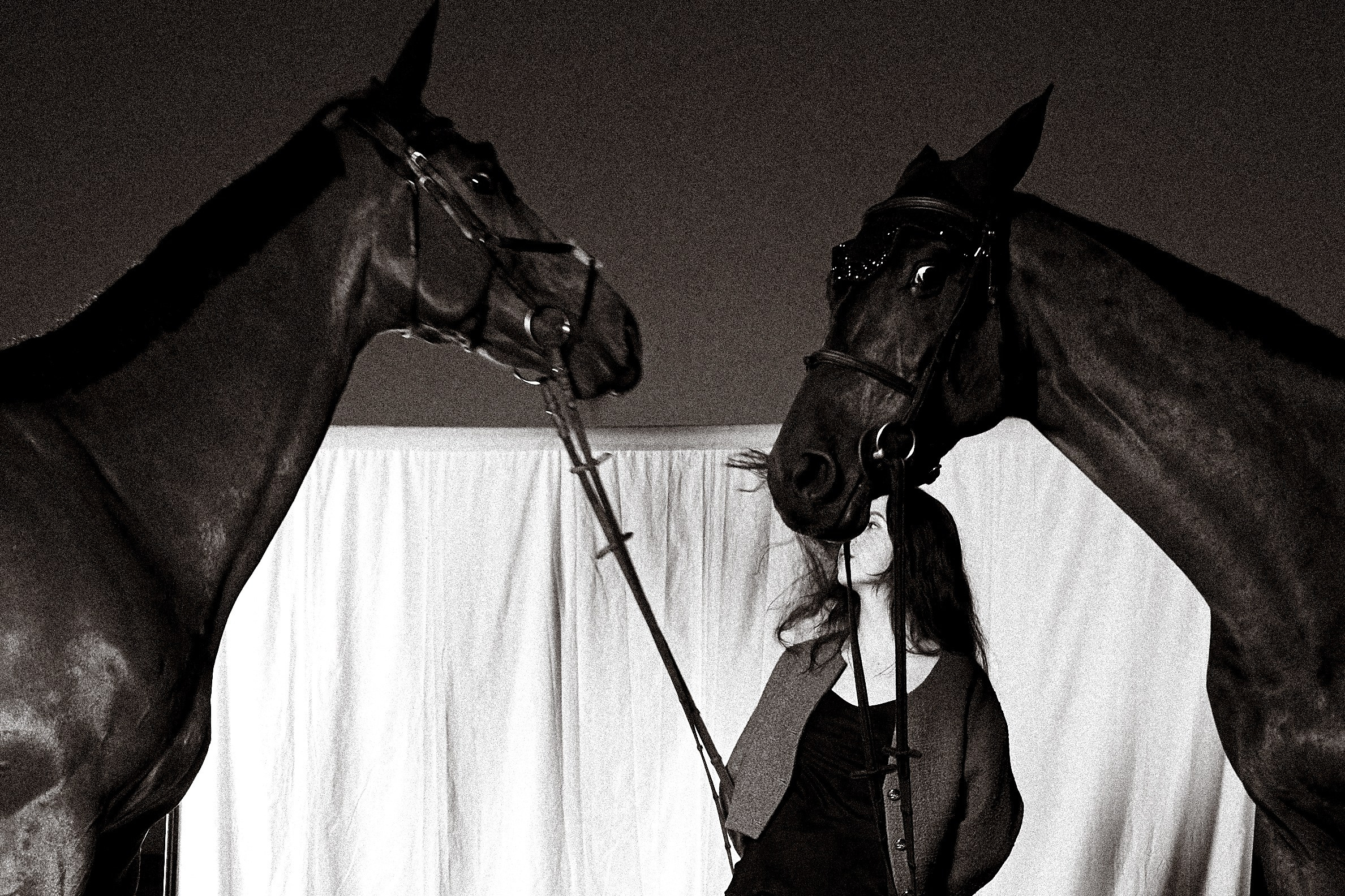 Алиса Олейник, Фардон и Кончелла. Эквицентр Северный. Фотосессии с лошадьми в Москве, Новосибирске