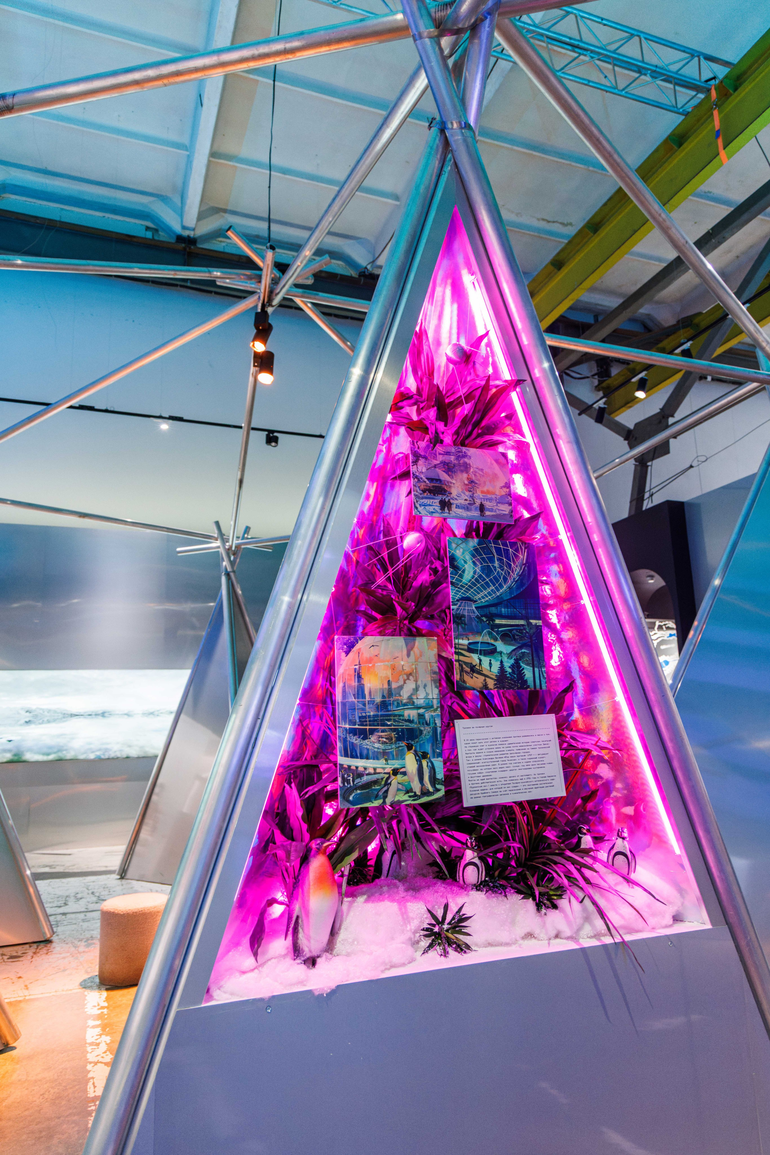 Лед. Жизнь — познавательно-развлекательная выставка. Фотограф Балаев Михаил