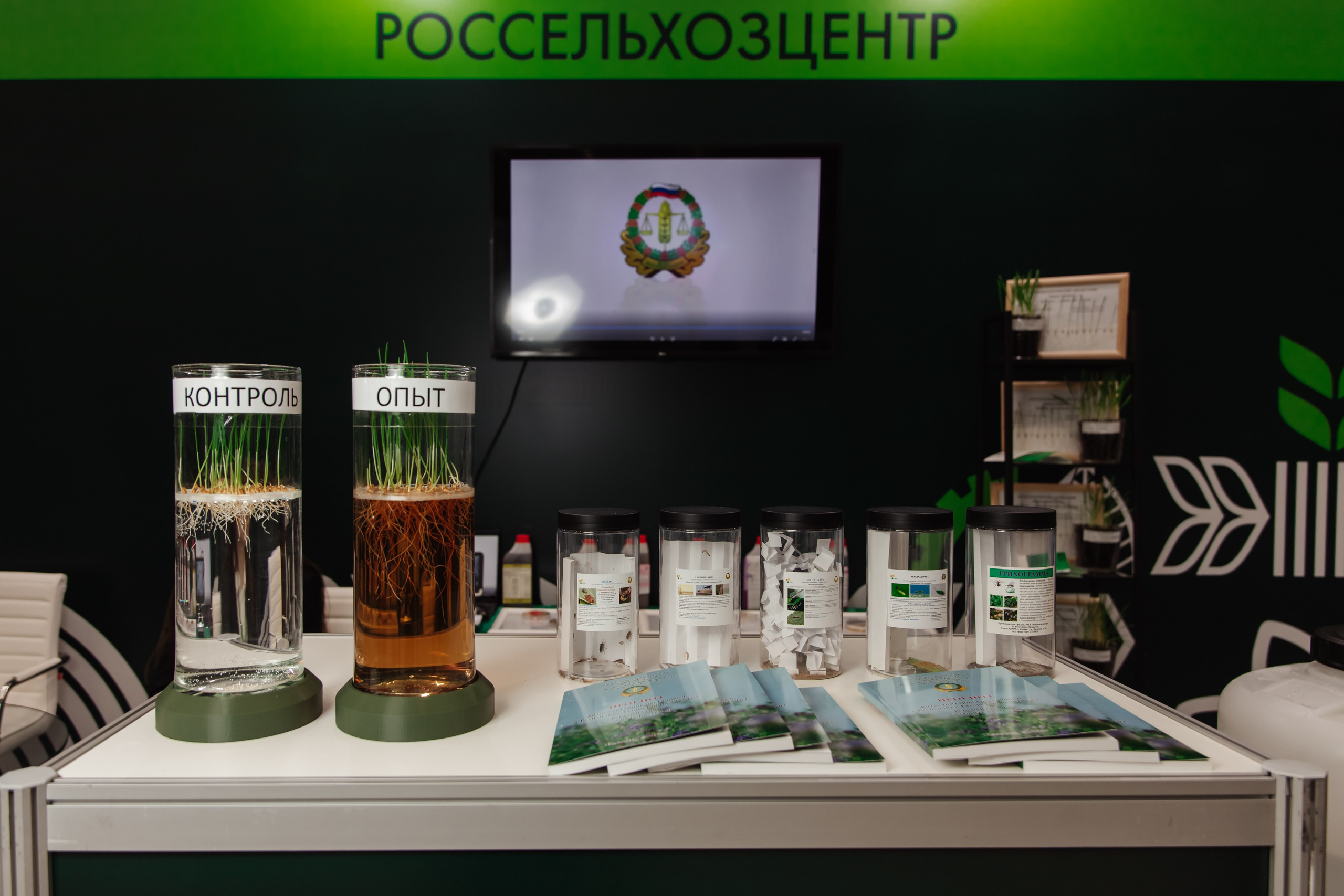 Конференции и мероприятия. Люксмедиа — это команда фотографов и видеографов. Город Казань. Дамир Сафин