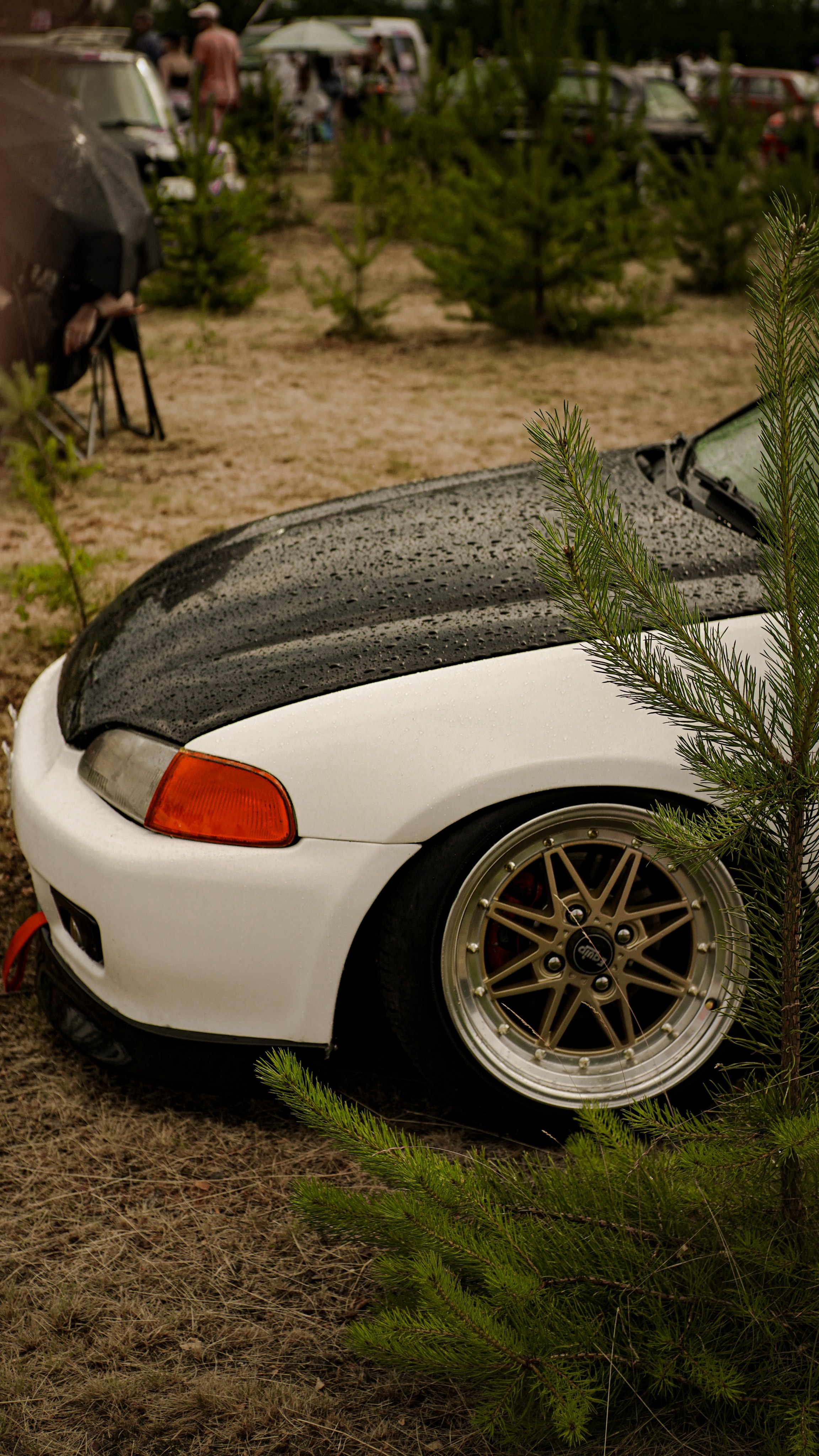 AutoWallpapers. Ма, я фотю📸