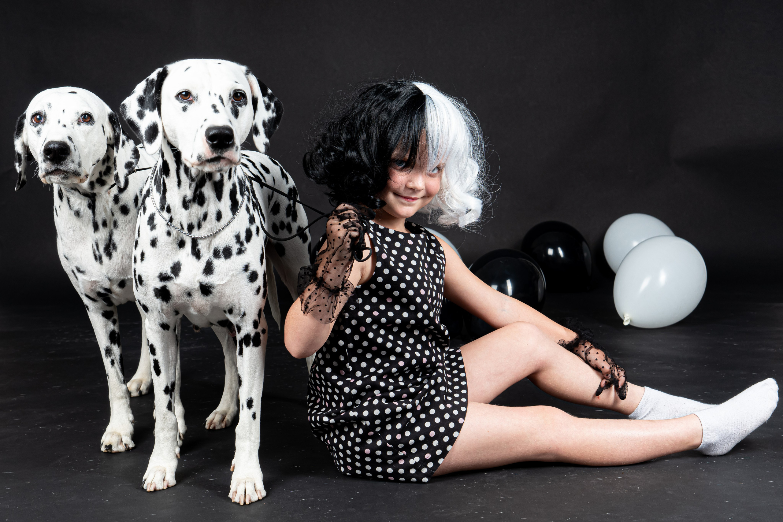 Далматины 2024. Фотограф на Камчатке Анна Моргачёва. Семейные и детские съёмки
