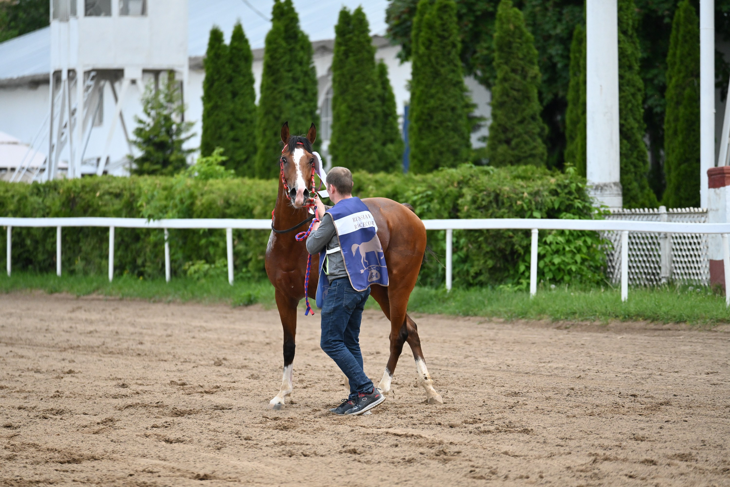 Московский ипподром. Fotolux