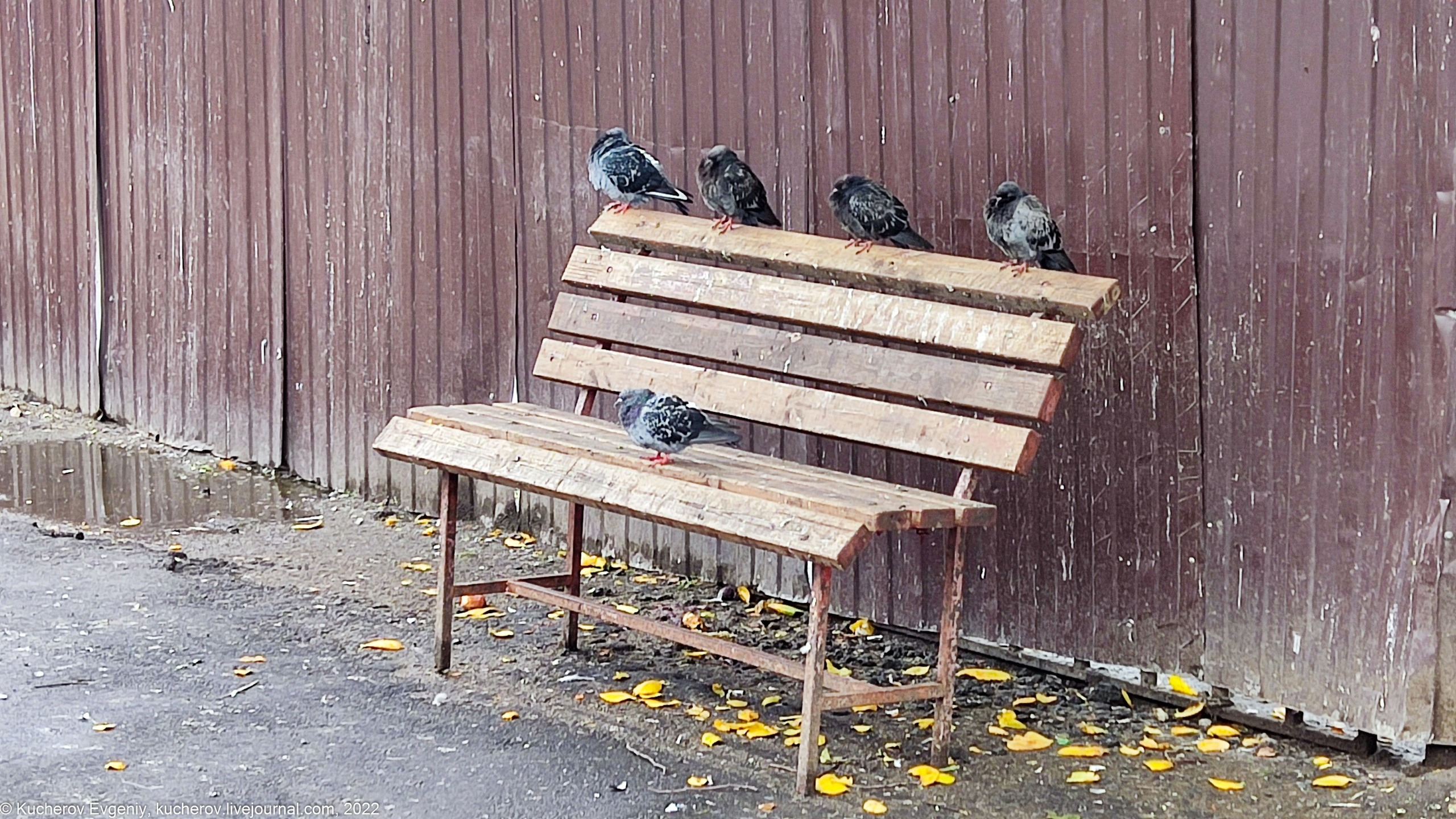 Бригада. Кучеров Евгений. Фотограф