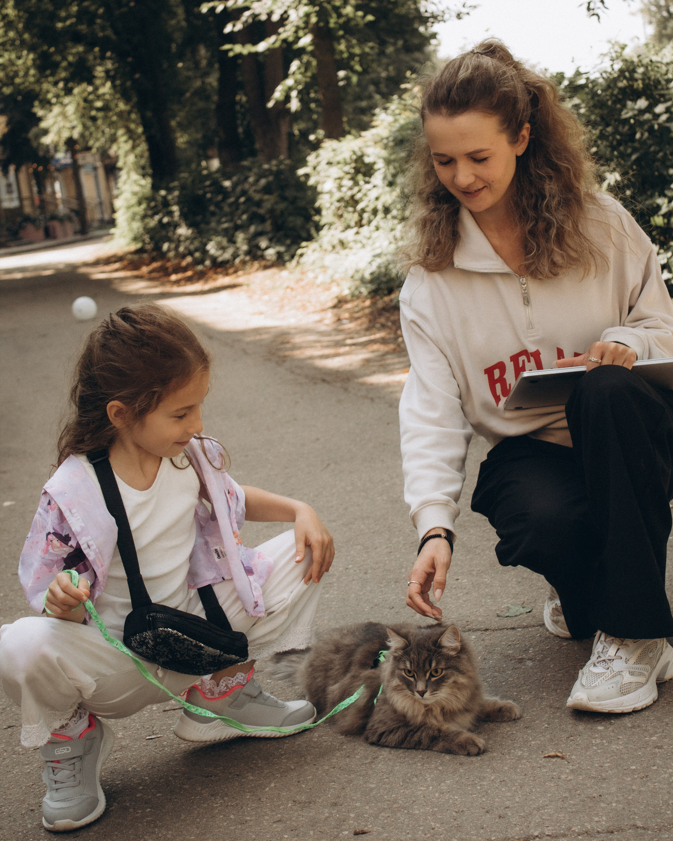 Утренняя прогулка. Главная