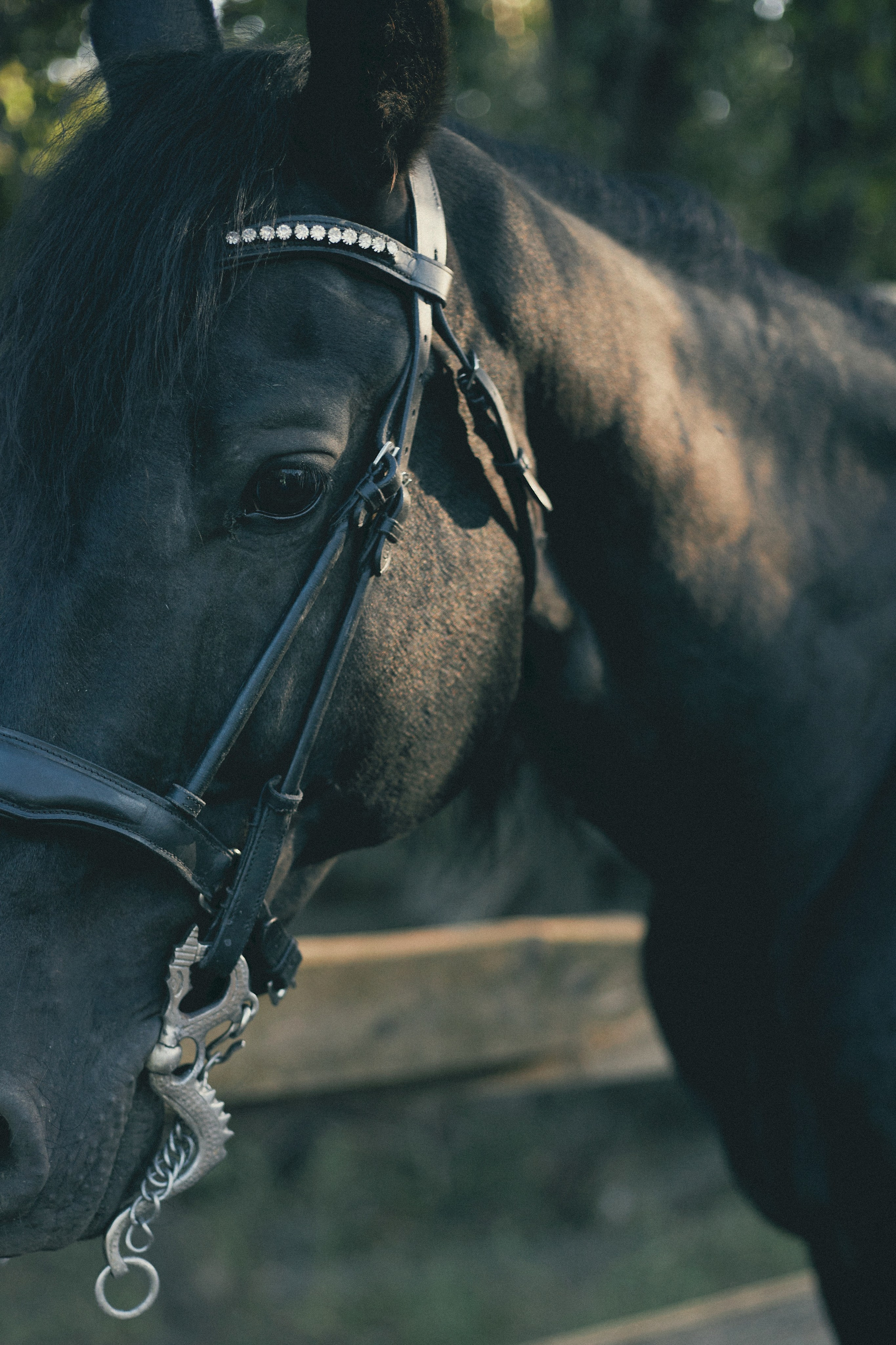 Лена. Фотограф Ионова Анастасия, г Владивосток