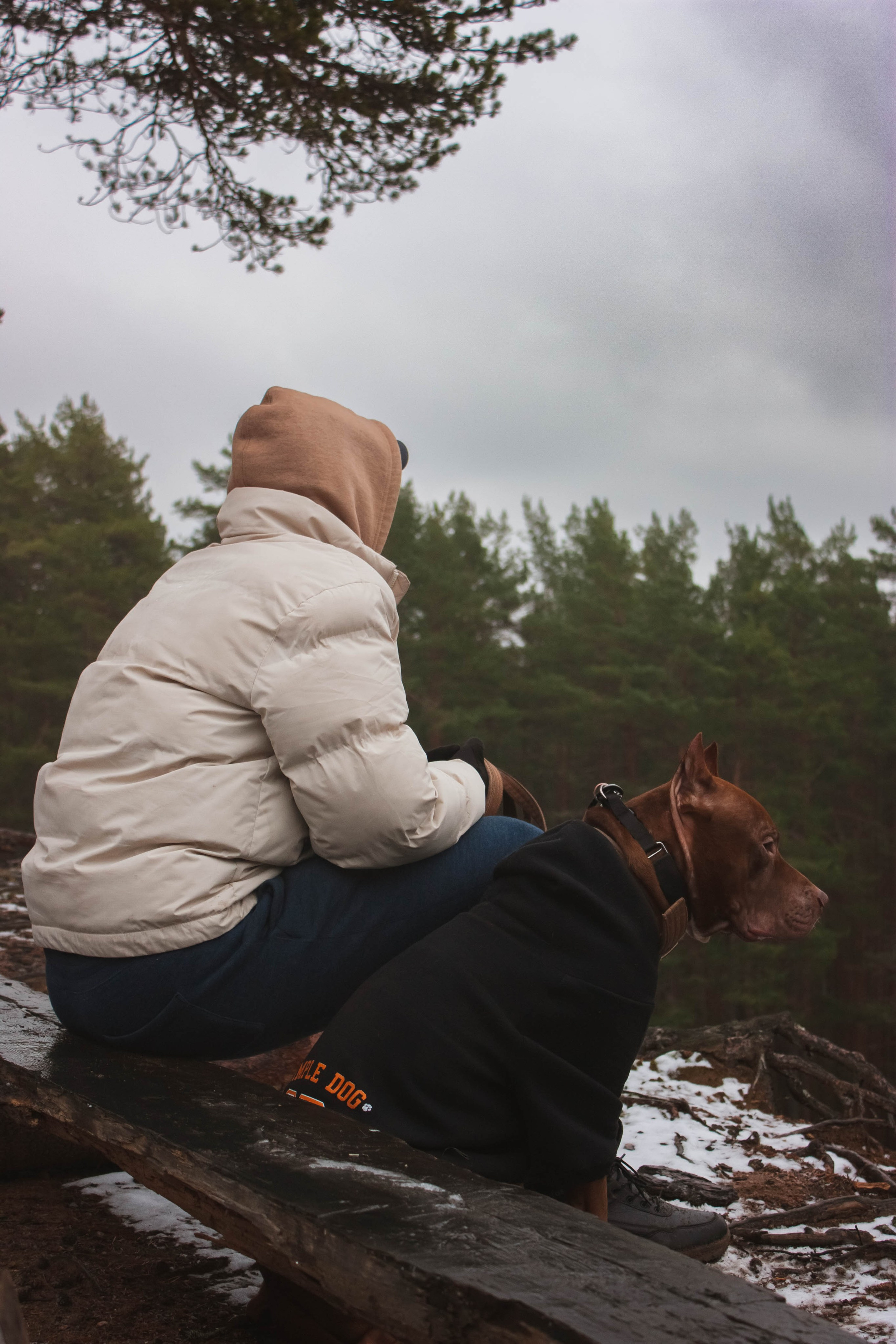 Айрон и Егор. Фотограф-анималист в Санкт-Петербурге Алина Яхонт