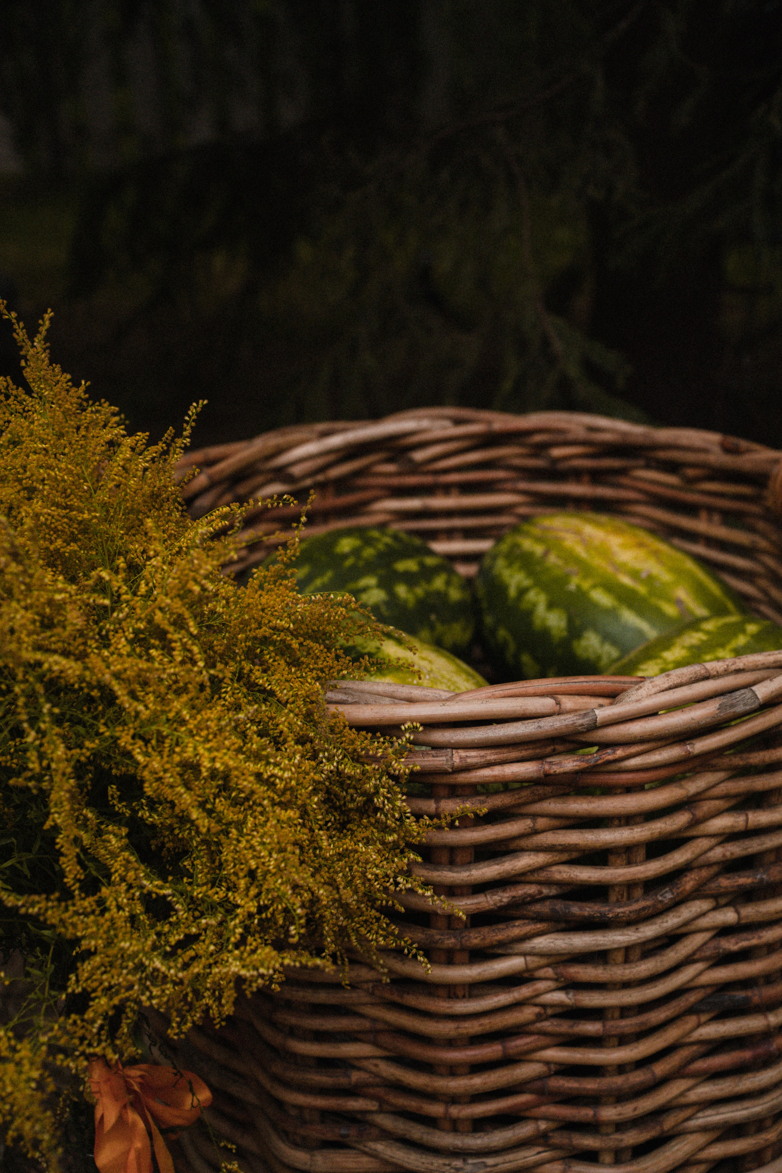 Фотосъемка дня рождения. Фотограф в Москве Екатерина Дмитриева